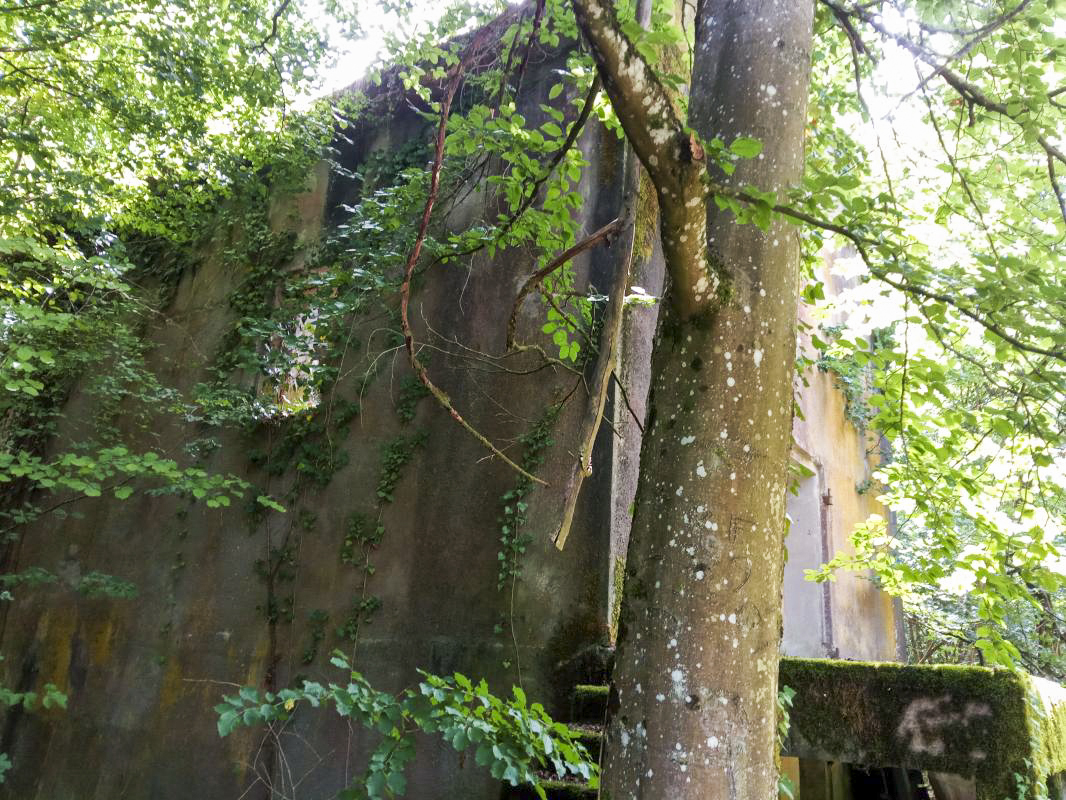 Ligne Maginot - FROESCHWILLER - (Dépôt de Munitions) - Vue sur l'entrée et le quai de chargement - donceuh