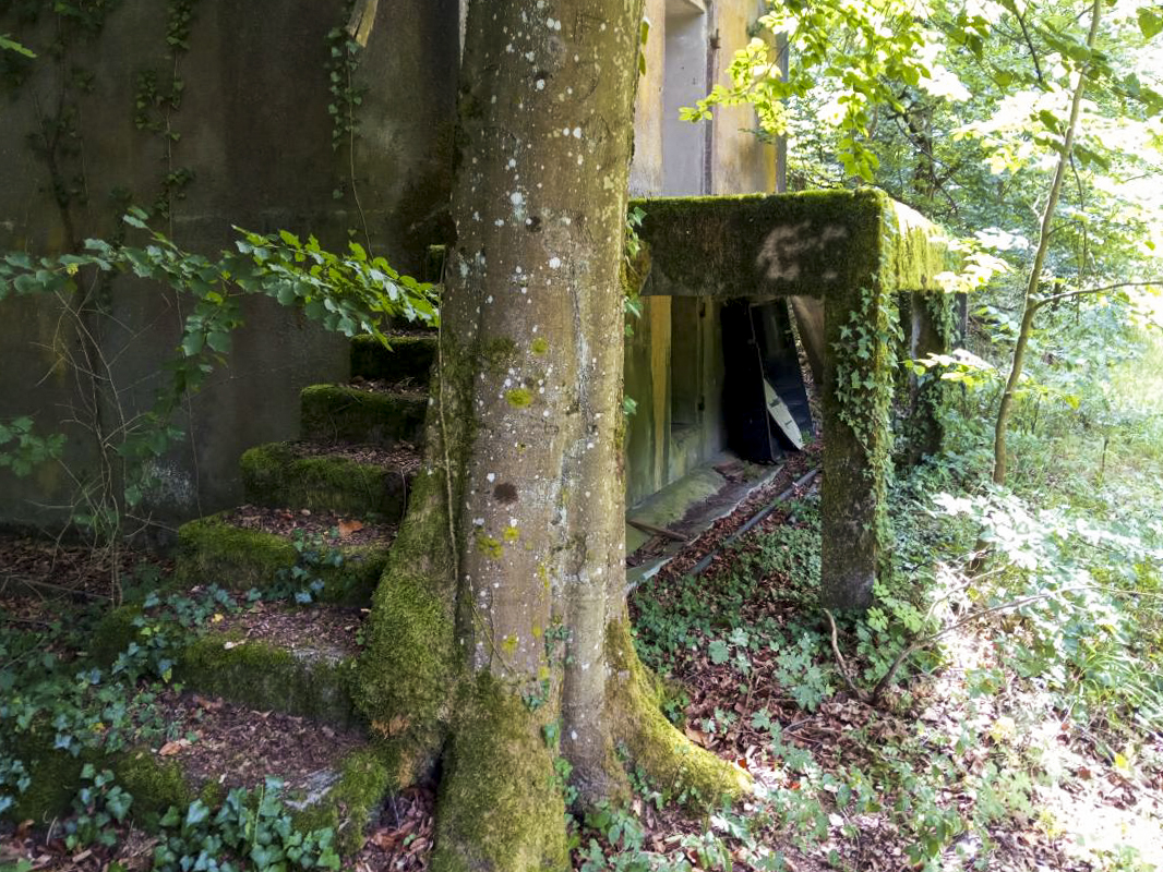 Ligne Maginot - FROESCHWILLER - (Dépôt de Munitions) - Quai de chargement pour camions - donceuh
