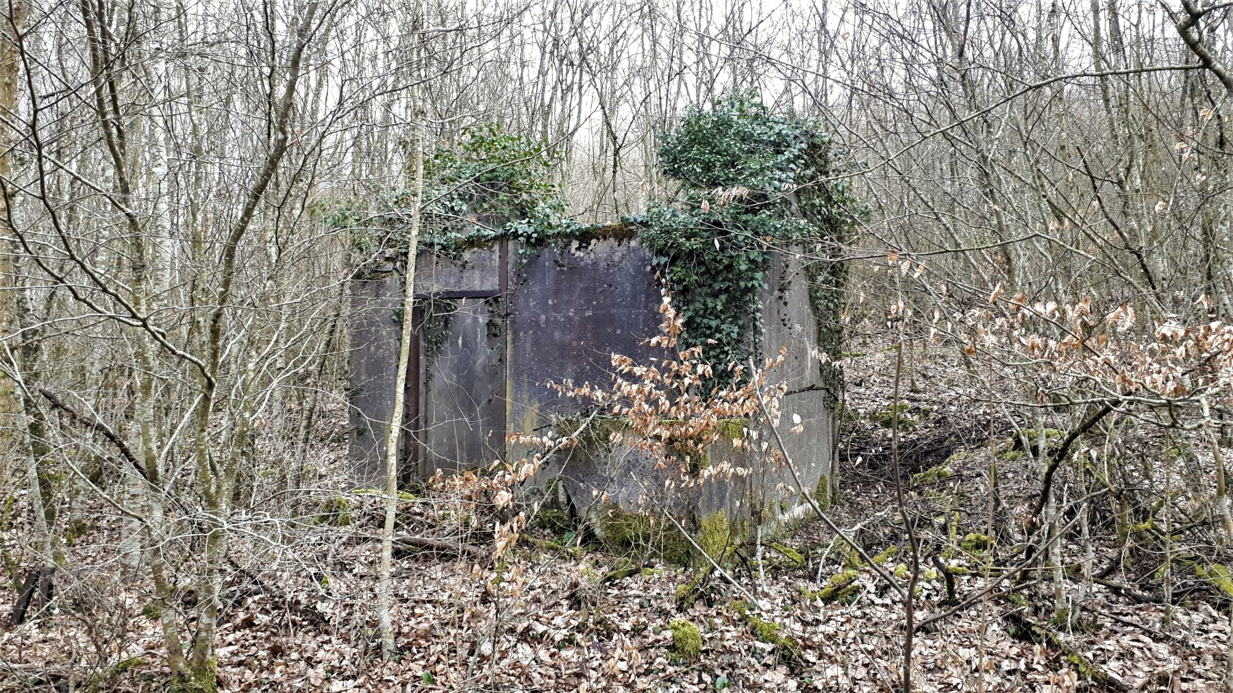Ligne Maginot - FROESCHWILLER - (Dépôt de Munitions) - Bâtiment de stockage des munitions - Gregory Fuchs