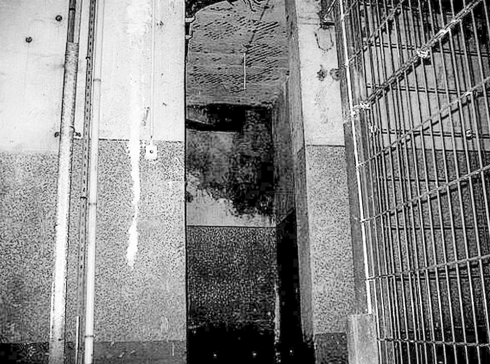 Ligne Maginot - GRAND LOT - X2 - (Abri) -  - Sylvie Laure LAMBERT
