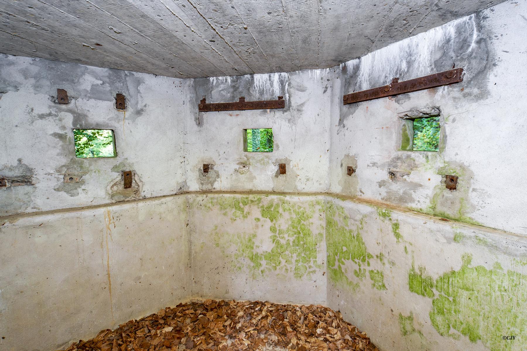 Ligne Maginot - GOERSDORF  - (Blockhaus pour arme infanterie) -  - Lia VERMEULEN