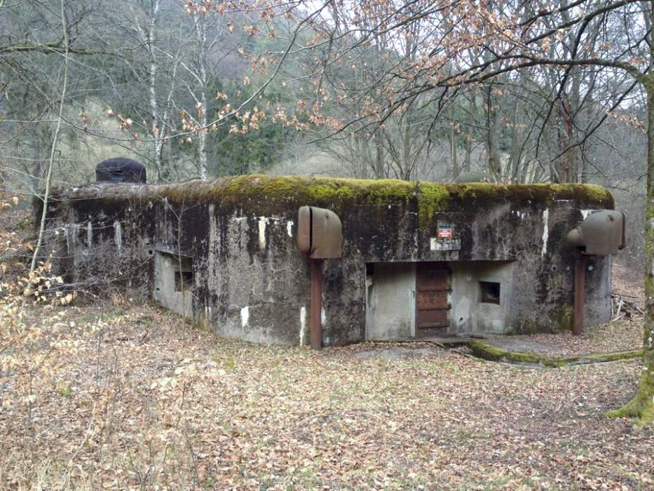 Ligne Maginot - GRUNENTHAL - C59 - (Casemate d'infanterie - Double) -  - EVA Philippe
