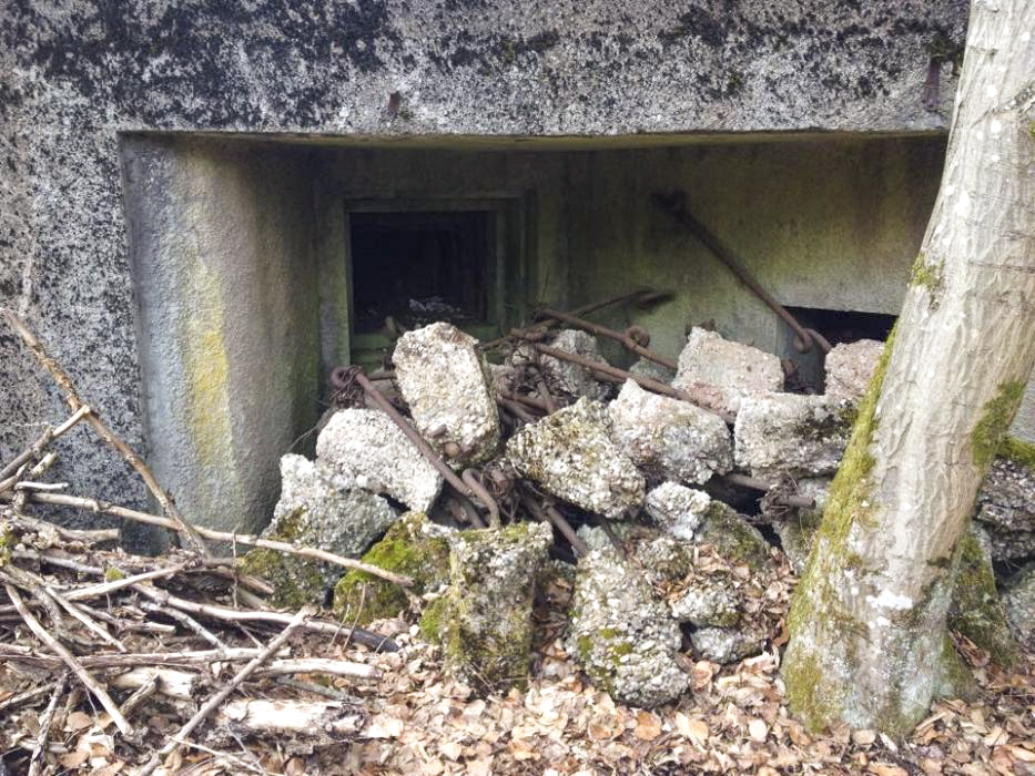 Ligne Maginot - GRUNENTHAL - C59 - (Casemate d'infanterie - Double) -  - EVA Philippe