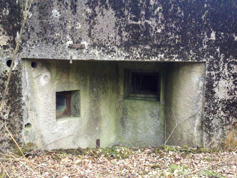 Ligne Maginot - GRUNENTHAL - C59 - (Casemate d'infanterie - Double) -  - EVA Philippe