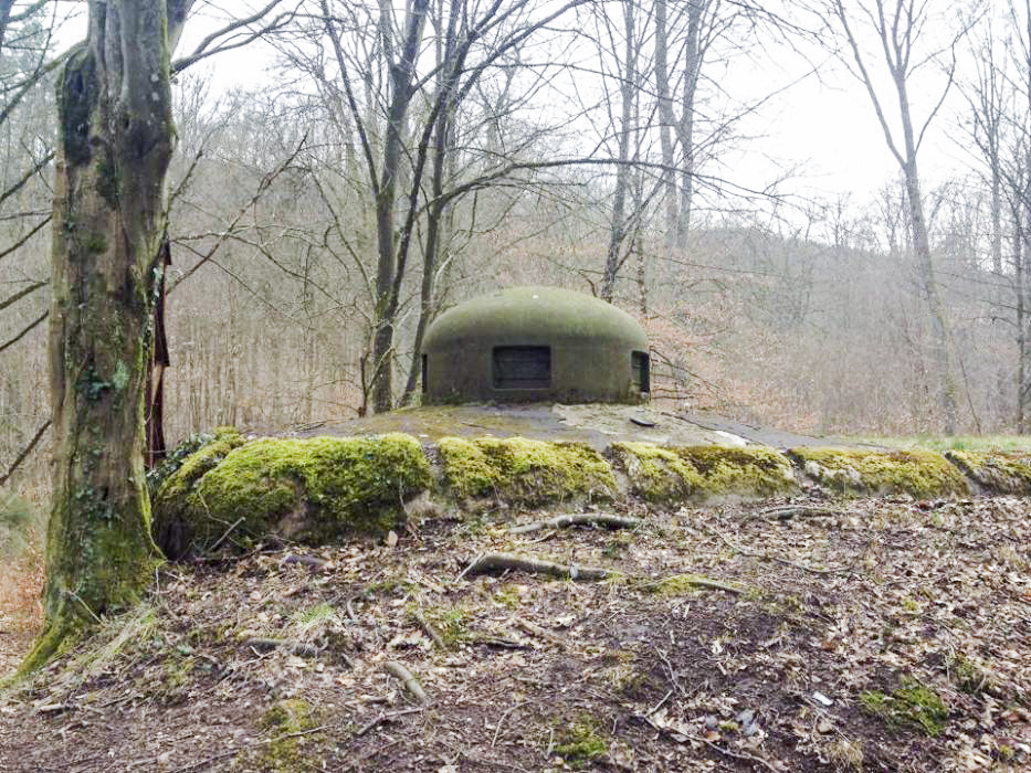 Ligne Maginot - GRUNENTHAL - C59 - (Casemate d'infanterie - Double) -  - EVA Philippe