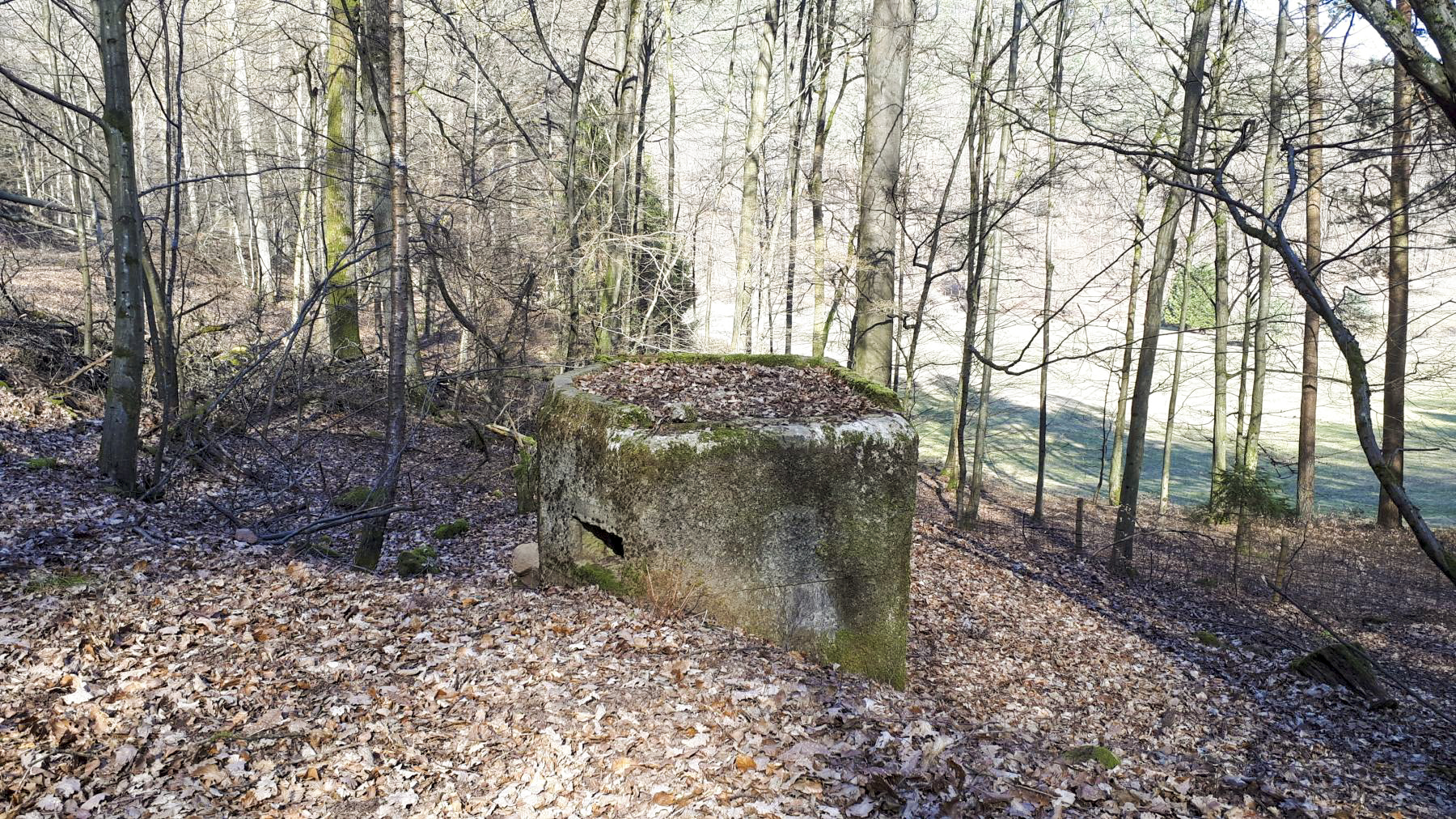Ligne Maginot - FM76 - GUNSTHAL 1 - (Blockhaus pour arme infanterie) - Vue coté gauche - Gregory Fuchs