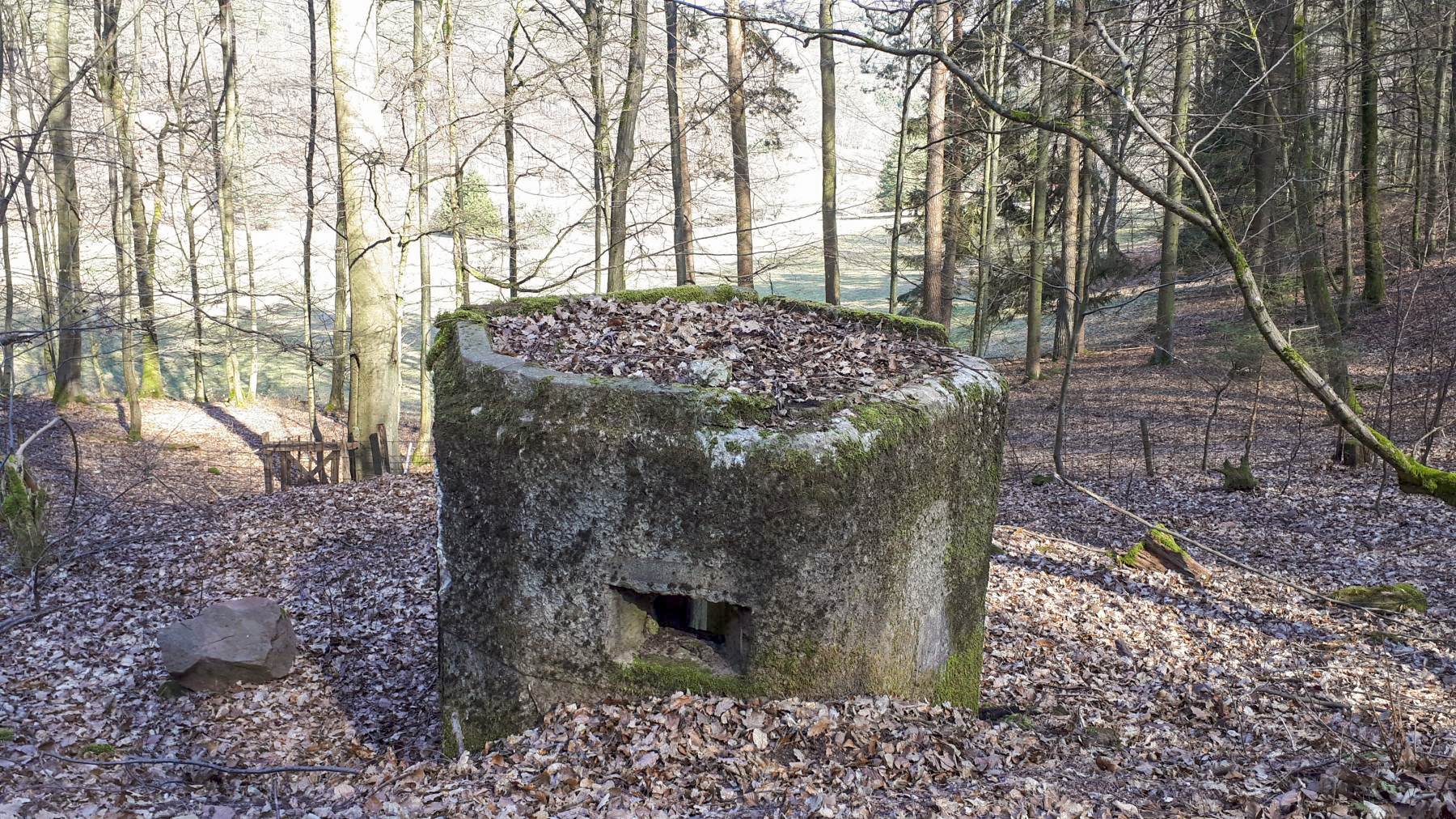 Ligne Maginot - FM76 - GUNSTHAL 1 - (Blockhaus pour arme infanterie) - Vue sur le créneau gauche - Gregory Fuchs