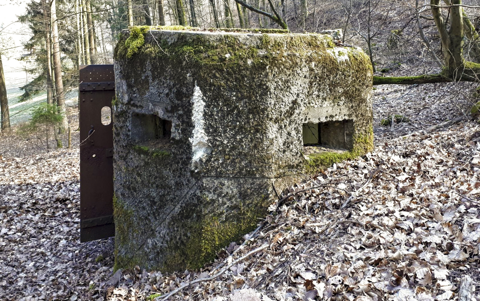 Ligne Maginot - FM76 - GUNSTHAL 1 - (Blockhaus pour arme infanterie) - Vue de face - Gregory Fuchs
