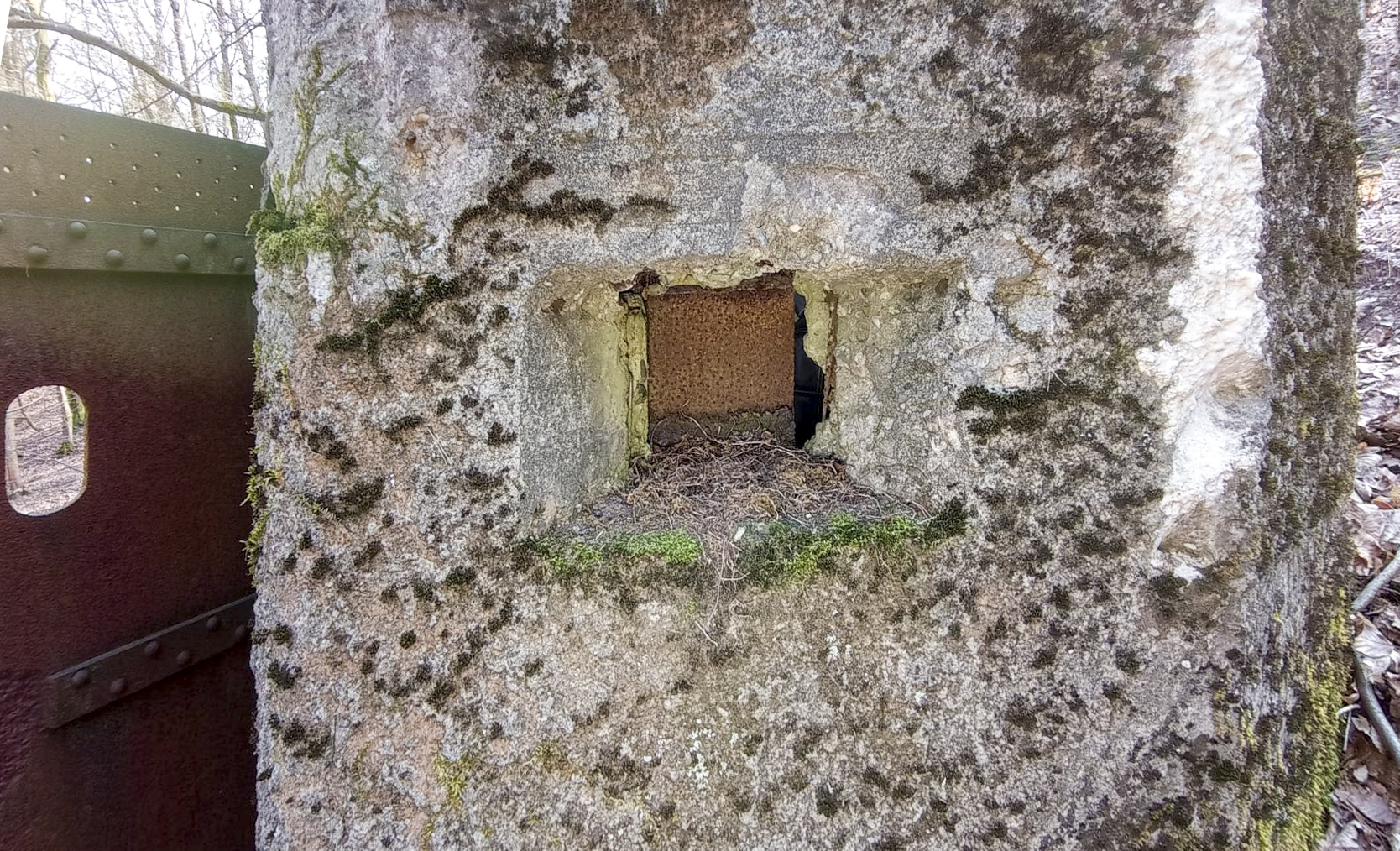 Ligne Maginot - FM76 - GUNSTHAL 1 - (Blockhaus pour arme infanterie) - Détail du créneau droit - Baptiste GAUDIN