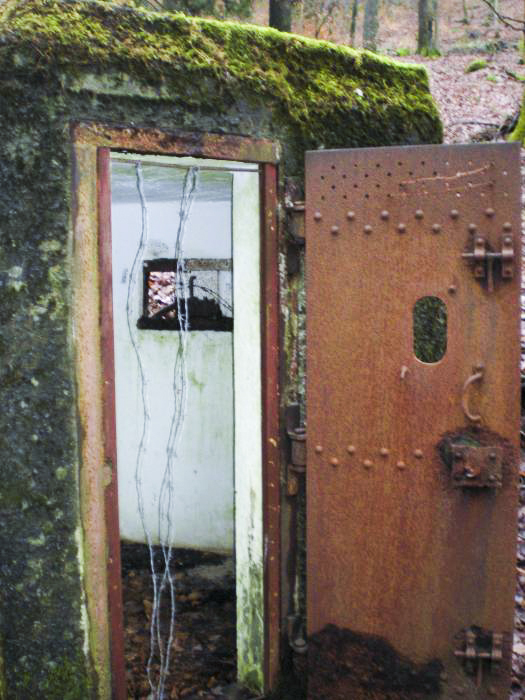 Ligne Maginot - FM76 - GUNSTHAL 1 - (Blockhaus pour arme infanterie) - Entrée - donceuh