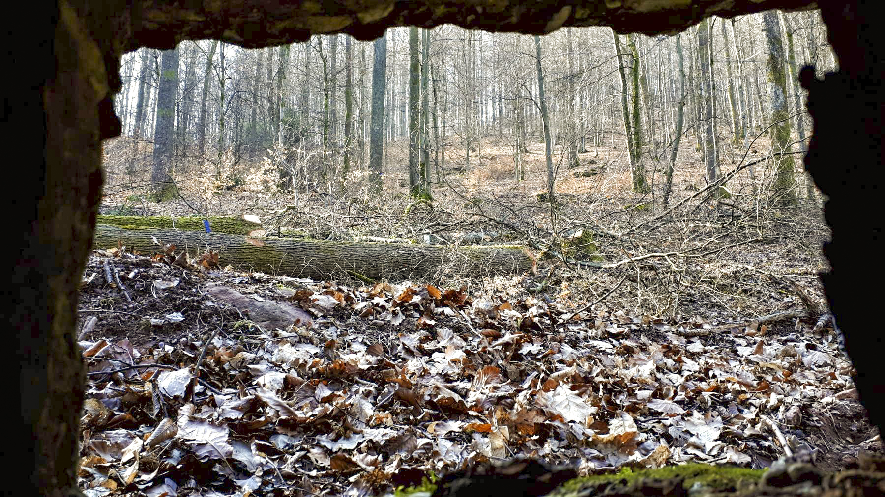 Ligne Maginot - FM76 - GUNSTHAL 1 - (Blockhaus pour arme infanterie) - Vue depuis le créneau gauche - Gregory Fuchs