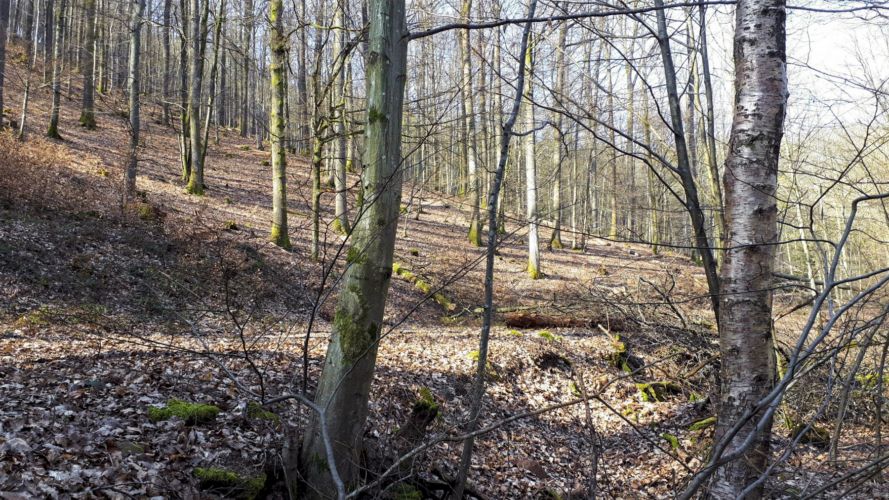 Ligne Maginot - FM76 - GUNSTHAL 1 - (Blockhaus pour arme infanterie) - Direction de tir du créneau droit - Gregory Fuchs