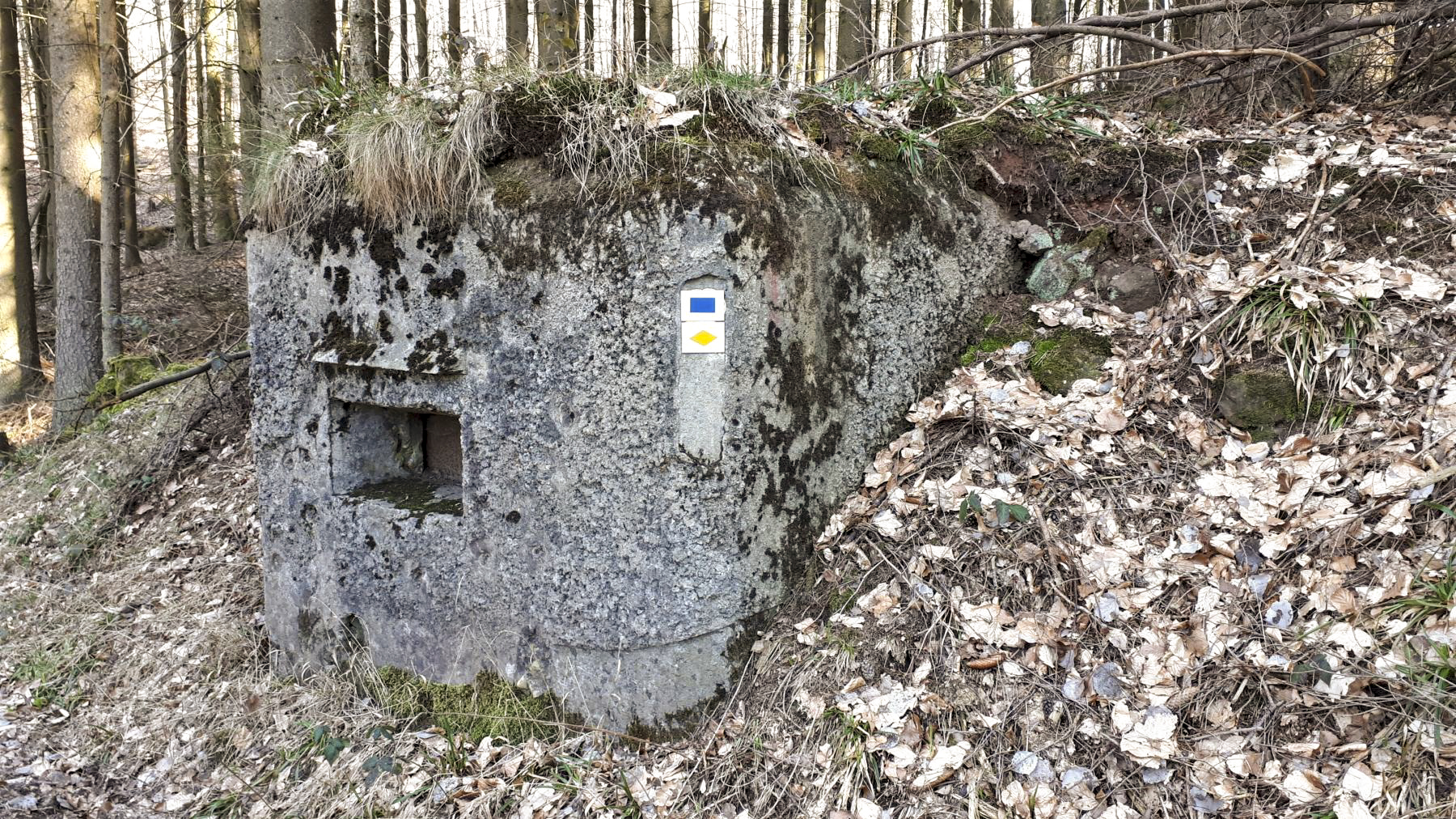 Ligne Maginot - M14 - GUNSTHAL 2 - (Blockhaus pour arme infanterie) - Vue sur le créneau gauche - Gregory Fuchs