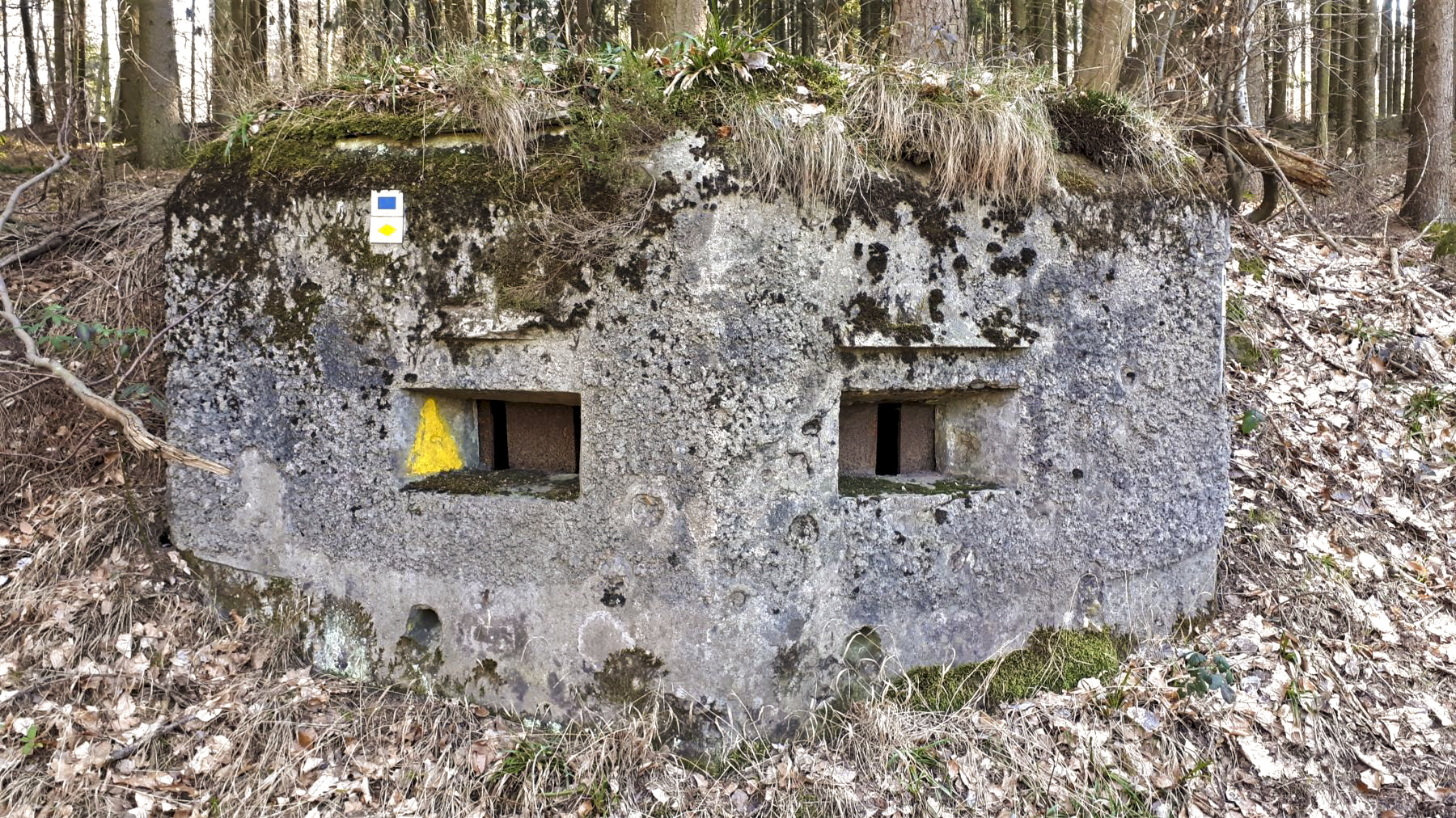 Ligne Maginot - M14 - GUNSTHAL 2 - (Blockhaus pour arme infanterie) - Vue de face - Gregory Fuchs