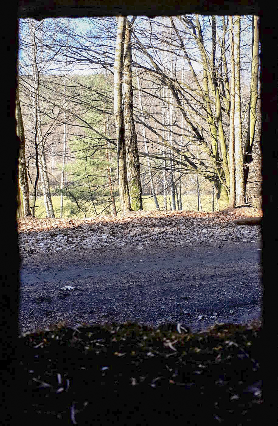 Ligne Maginot - M14 - GUNSTHAL 2 - (Blockhaus pour arme infanterie) - Vue depuis le créneau droit - Gregory Fuchs