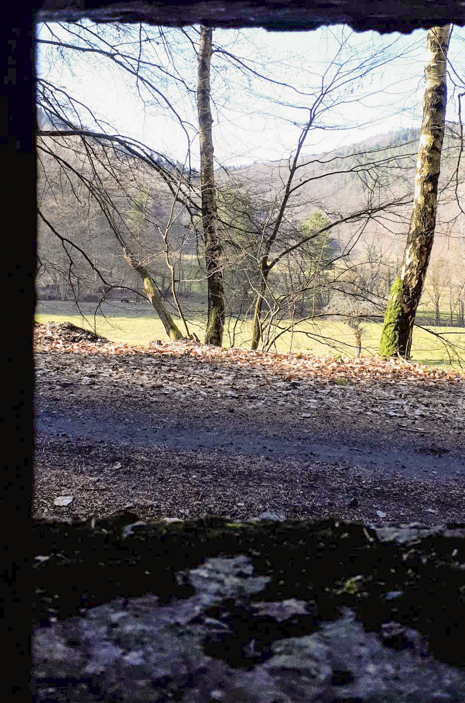 Ligne Maginot - M14 - GUNSTHAL 2 - (Blockhaus pour arme infanterie) - Vue depuis le créneau gauche - Gregory Fuchs