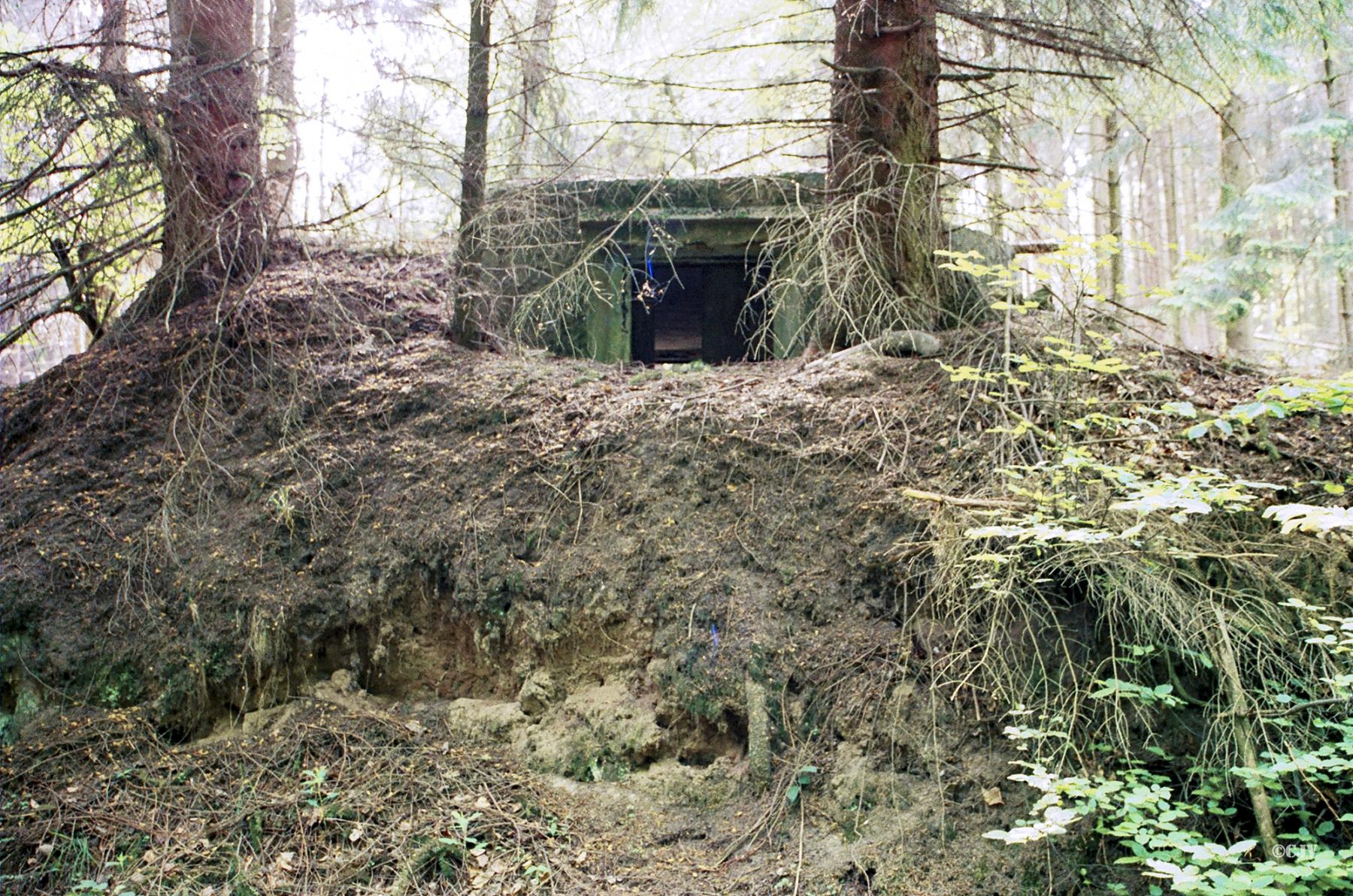 Ligne Maginot - C10 - GUNSTHAL 3 - (Blockhaus pour canon) - Vue sur le créneau antichar - Lia VERMEULEN