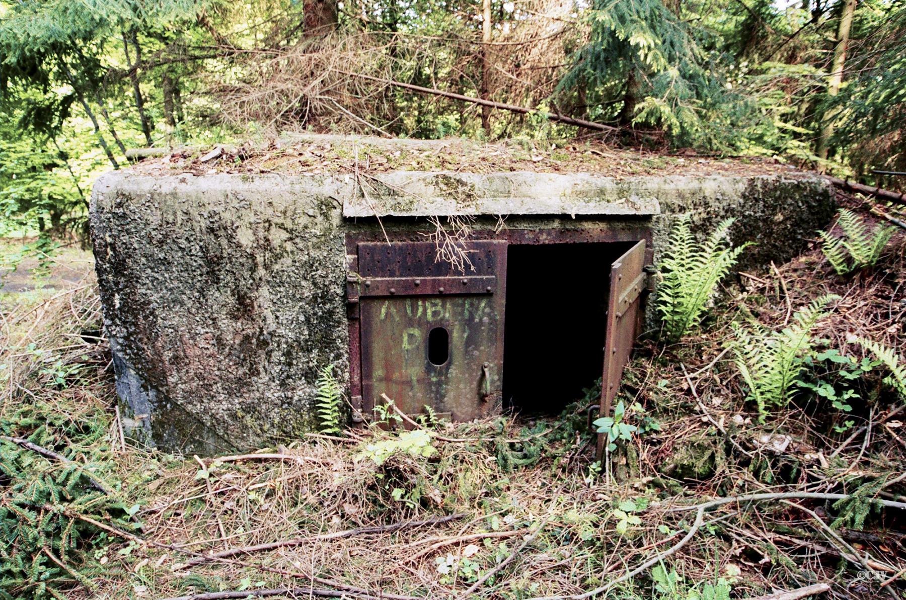 Ligne Maginot - C10 - GUNSTHAL 3 - (Blockhaus pour canon) - L'entrée - Lia VERMEULEN