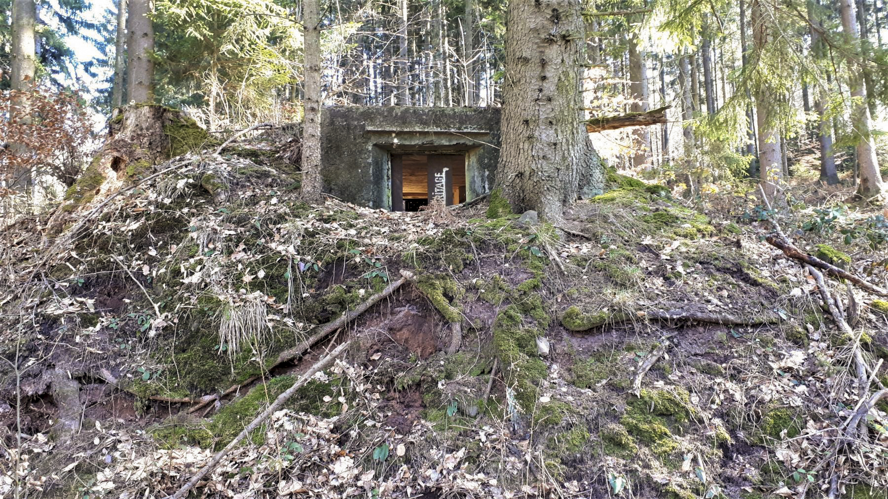 Ligne Maginot - C10 - GUNSTHAL 3 - (Blockhaus pour canon) - Vue sur le créneau antichar - Gregory Fuchs