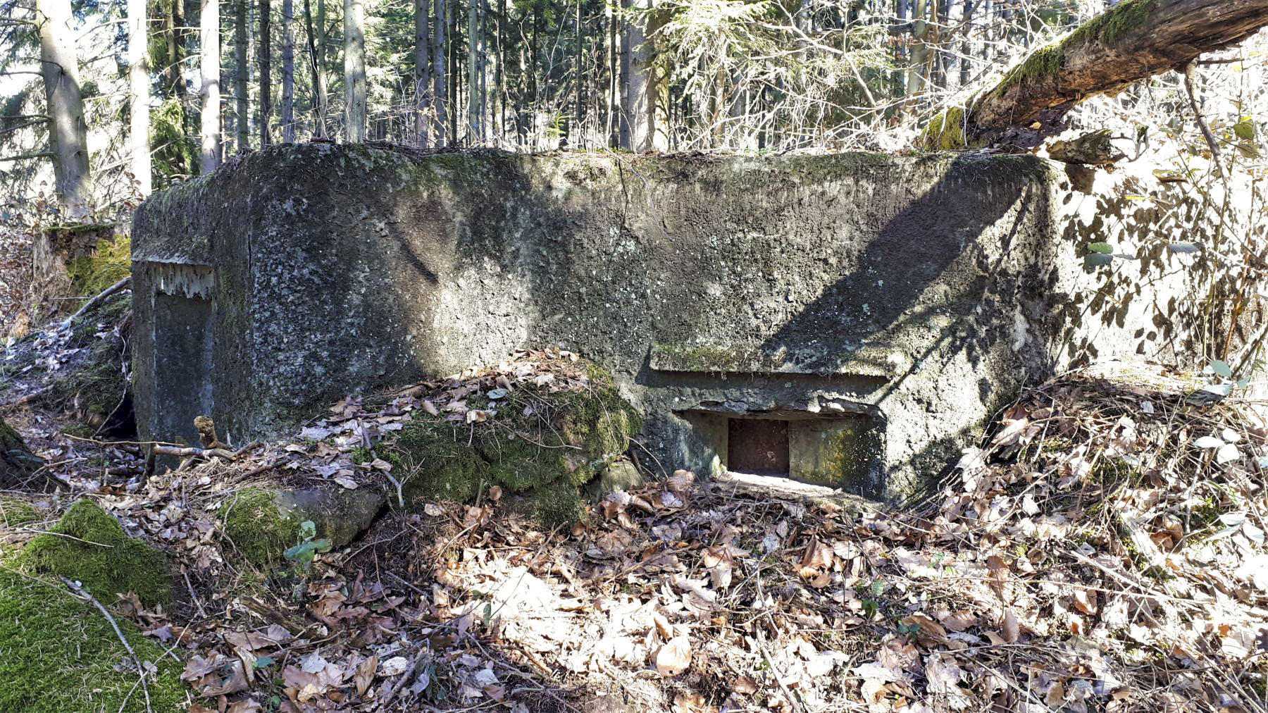 Ligne Maginot - C10 - GUNSTHAL 3 - (Blockhaus pour canon) - Créneau latéral - Gregory Fuchs