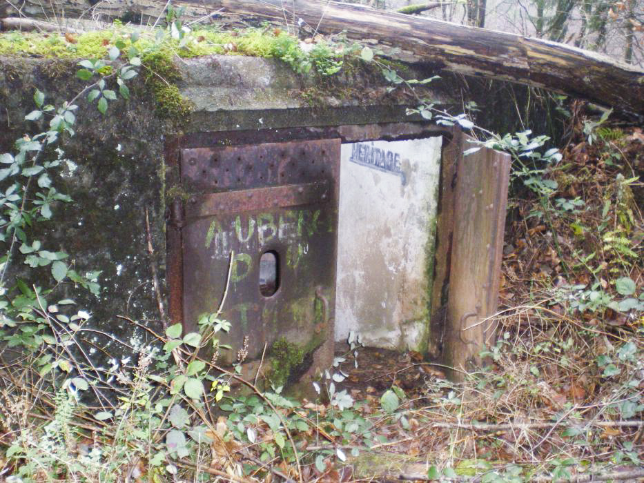 Ligne Maginot - C10 - GUNSTHAL 3 - (Blockhaus pour canon) - L'entrée - donceuh