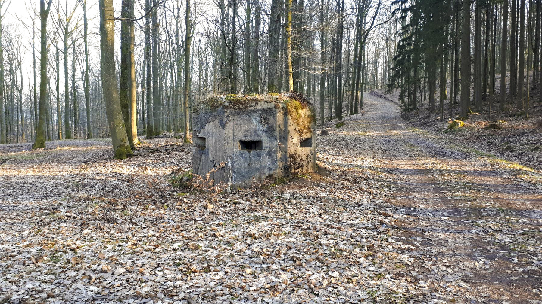 Ligne Maginot - GUNSTHAL 4 - (Blockhaus pour arme infanterie) - Vue de face - Gregory Fuchs