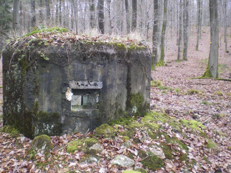 Ligne Maginot - Blockhaus GUNSTHAL 4 - Créneau arrière droit - donceuh