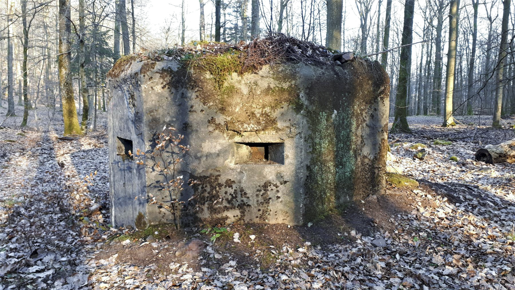 Ligne Maginot - GUNSTHAL 4 - (Blockhaus pour arme infanterie) - Créneau latéral gauche - Gregory Fuchs
