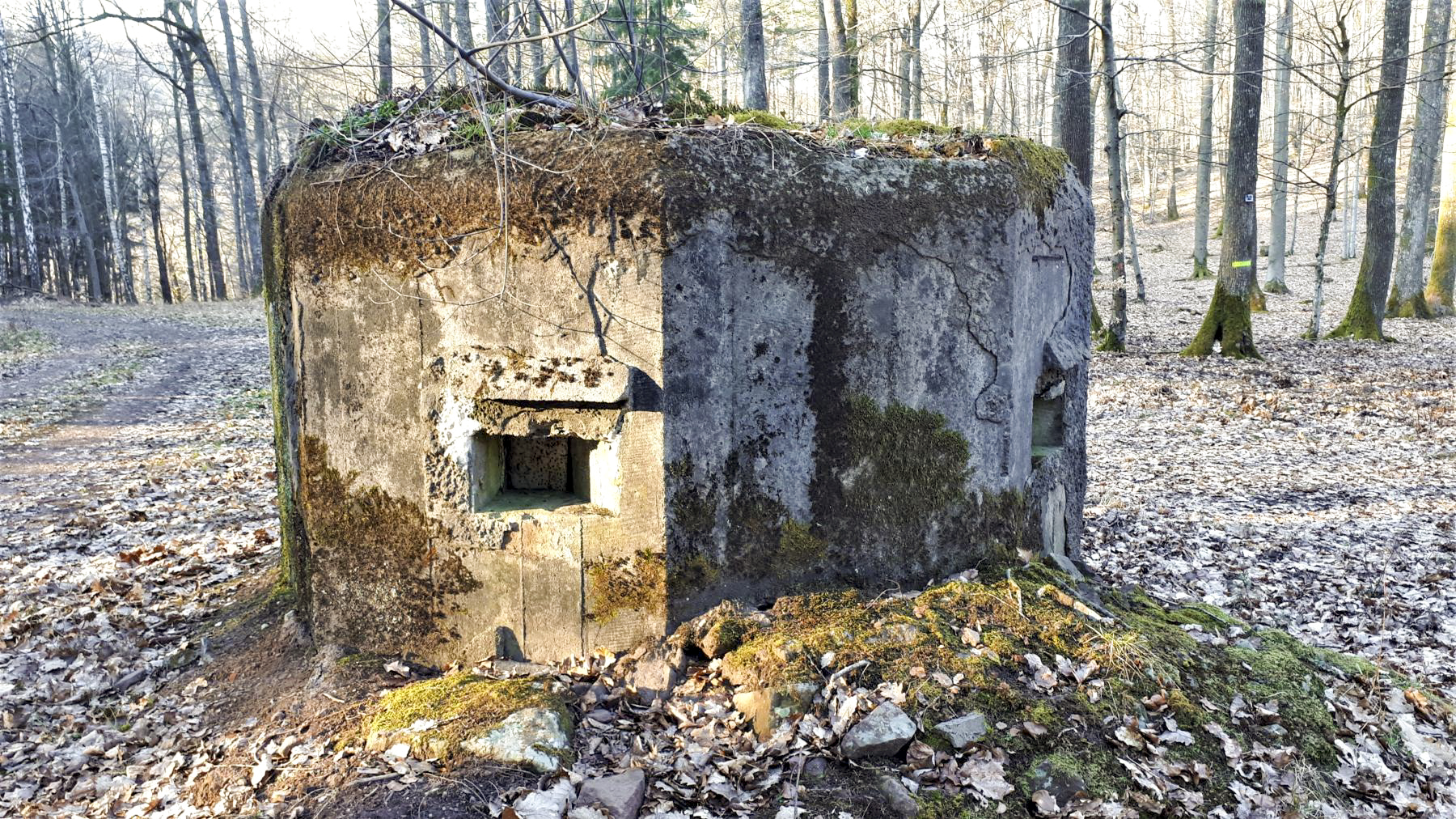 Ligne Maginot - GUNSTHAL 4 - (Blockhaus pour arme infanterie) - Les deux créneaux à l'arrière - Gregory Fuchs