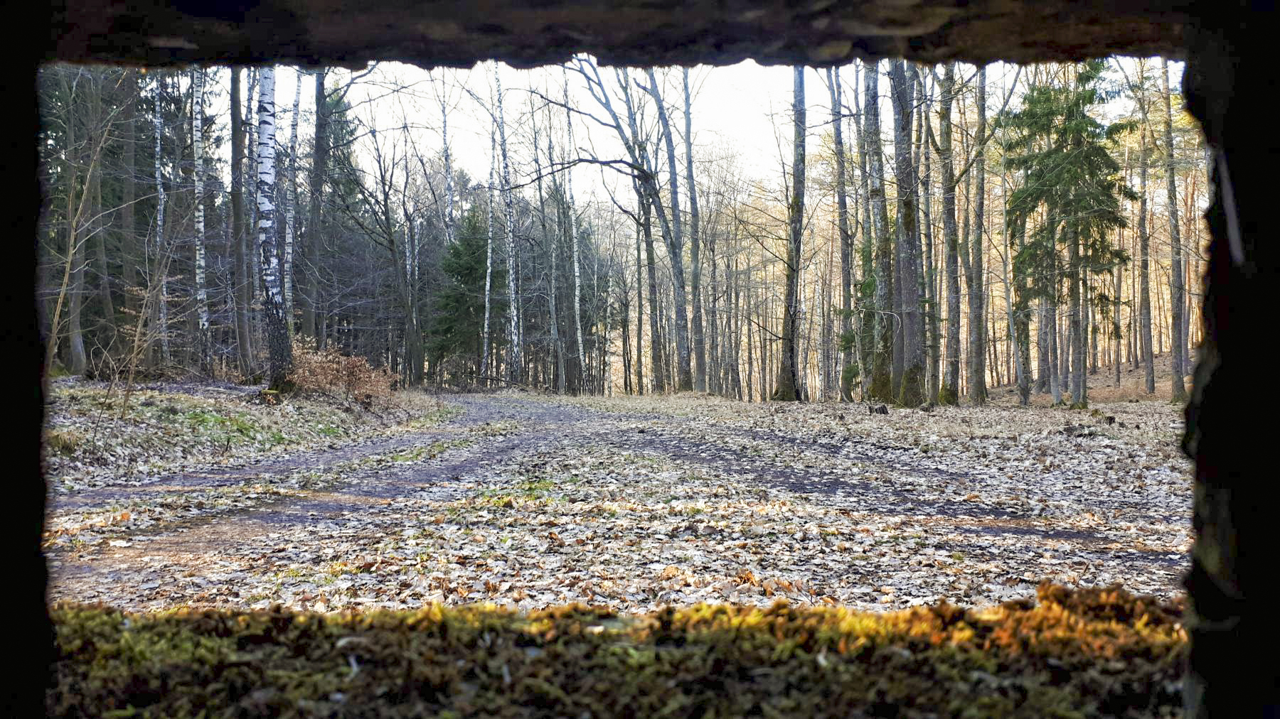 Ligne Maginot - GUNSTHAL 4 - (Blockhaus pour arme infanterie) - Vue depuis le créneau frontal - Gregory Fuchs