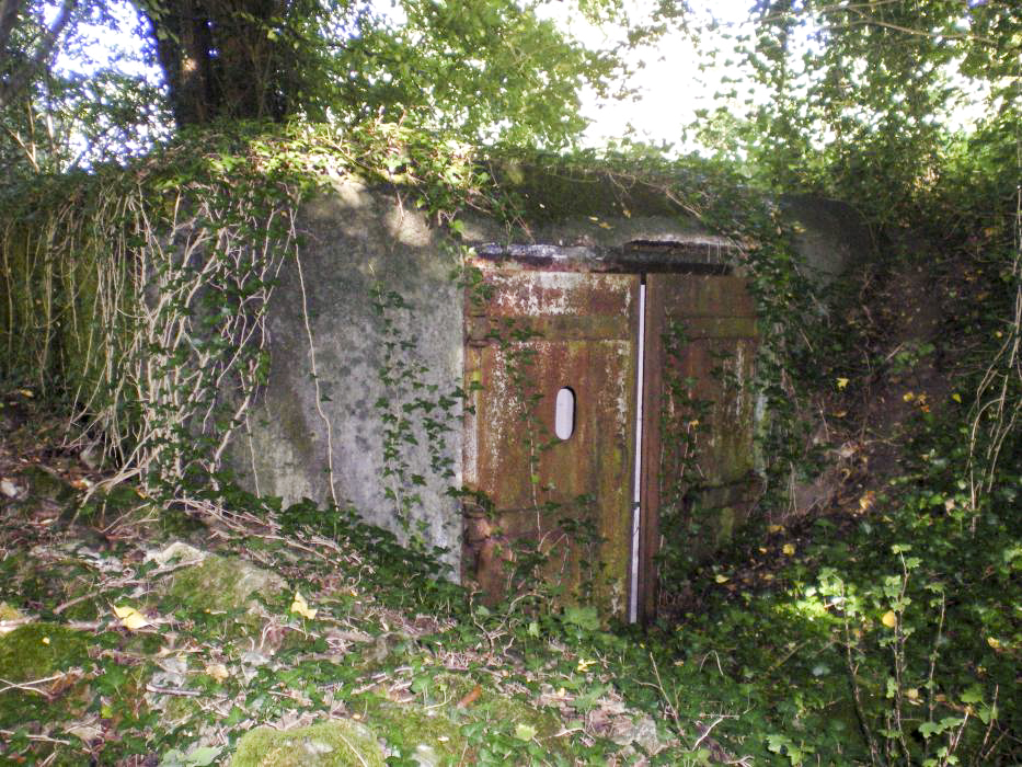 Ligne Maginot - C5 - HELIENBRUCK 1 - (Blockhaus pour canon) -  - donceuh