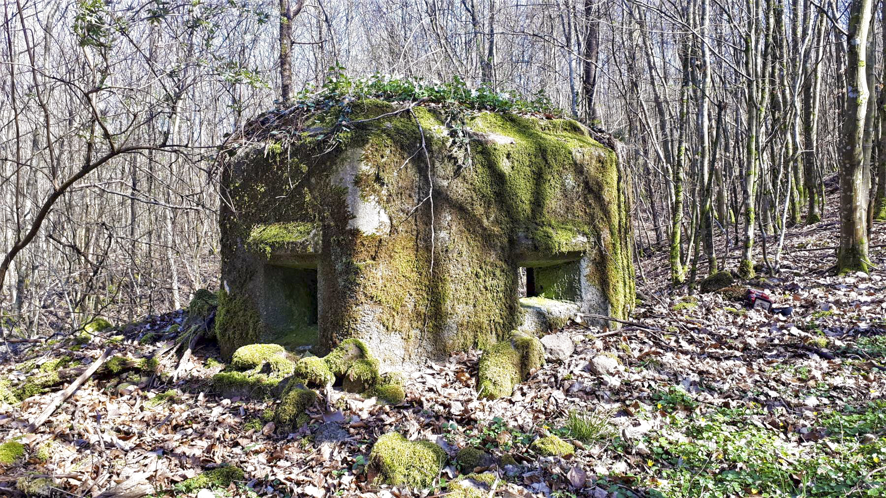Ligne Maginot - FM9 - HIRTENMATT 1 - (Blockhaus pour arme infanterie) - Créneau frontal et latéral gauche - Gregory Fuchs