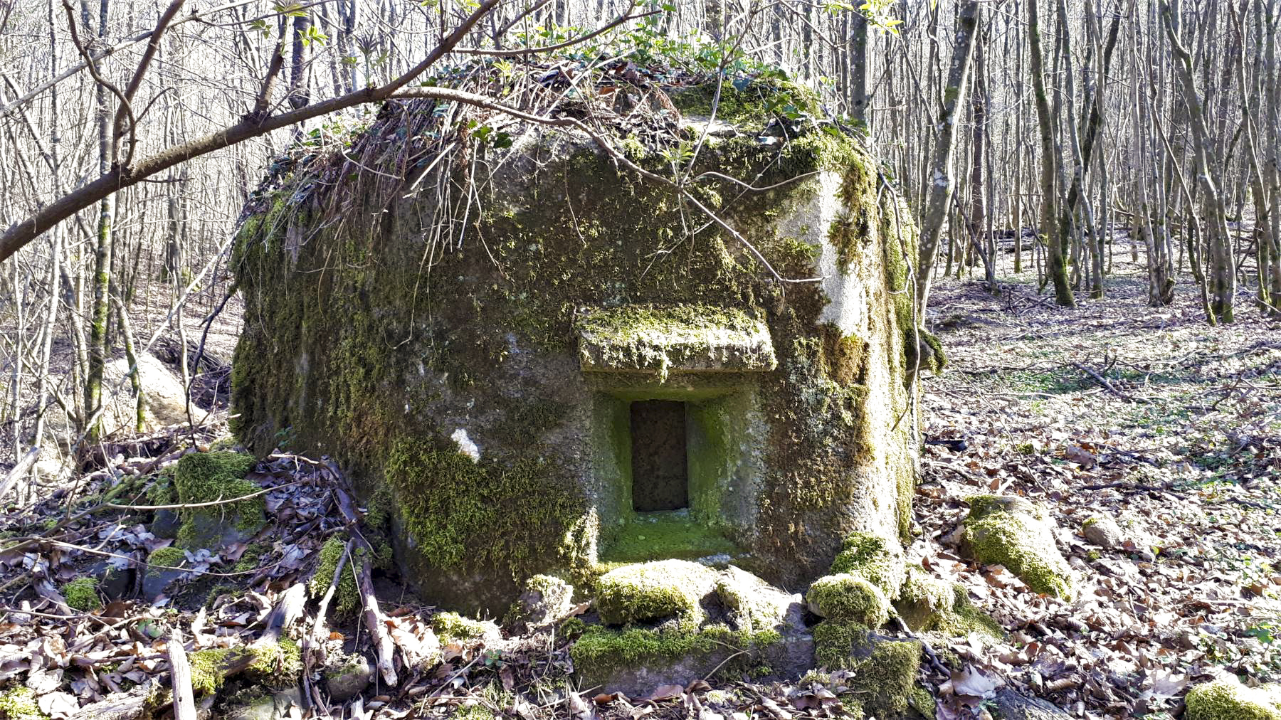Ligne Maginot - FM9 - HIRTENMATT 1 - (Blockhaus pour arme infanterie) - Créneau frontal - Gregory Fuchs
