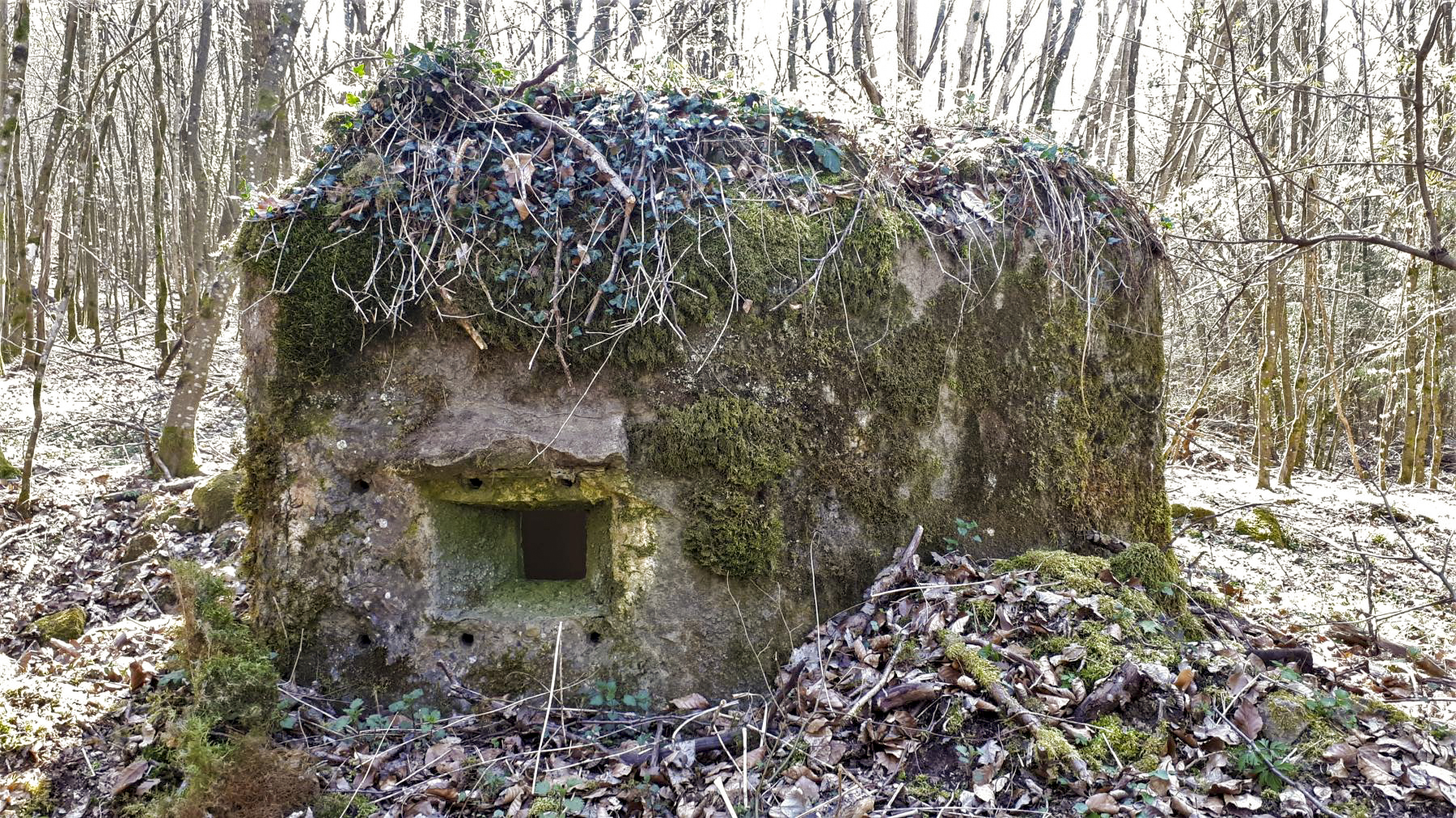 Ligne Maginot - FM9 - HIRTENMATT 1 - (Blockhaus pour arme infanterie) - Créneau latéral droit - Gregory Fuchs