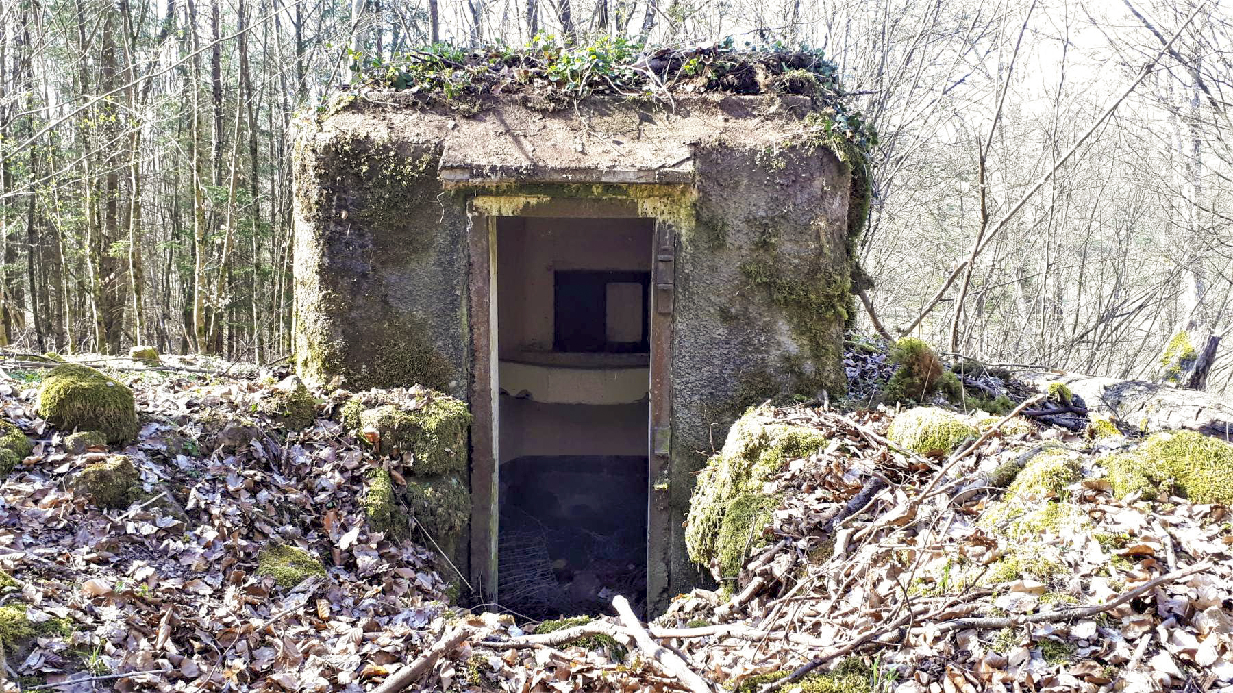 Ligne Maginot - FM9 - HIRTENMATT 1 - (Blockhaus pour arme infanterie) - L'entrée - Gregory Fuchs