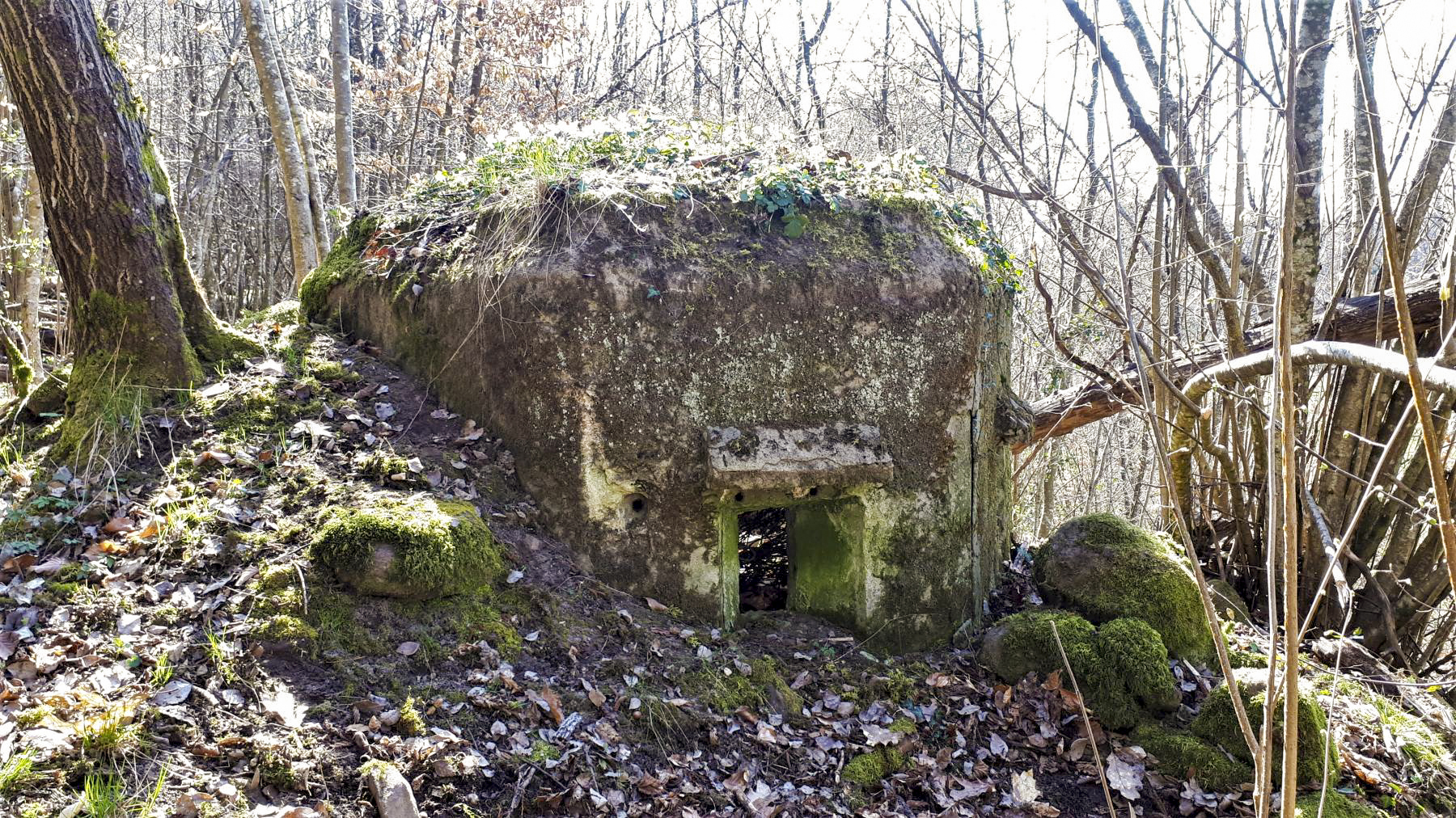 Ligne Maginot - FM10 - HIRTENMATT 2 - (Blockhaus pour arme infanterie) - Créneau frontal - Gregory Fuchs