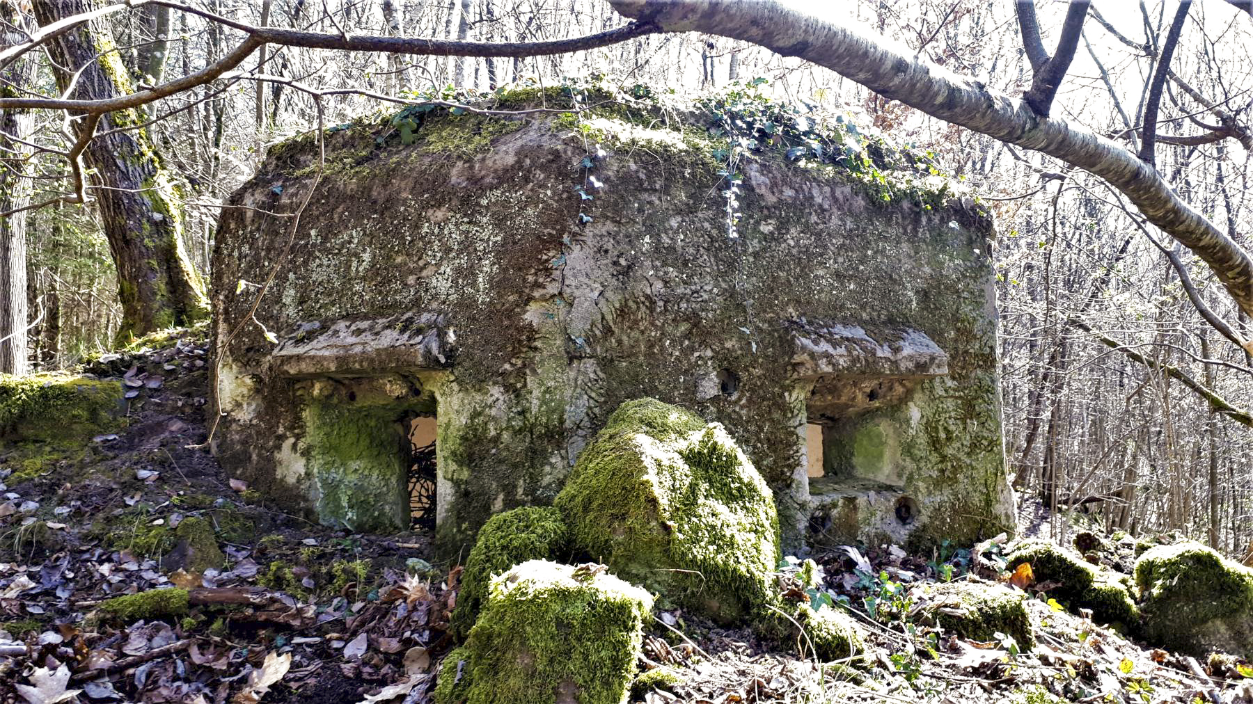 Ligne Maginot - FM10 - HIRTENMATT 2 - (Blockhaus pour arme infanterie) - Créneau frontal et latéral gauche - Gregory Fuchs