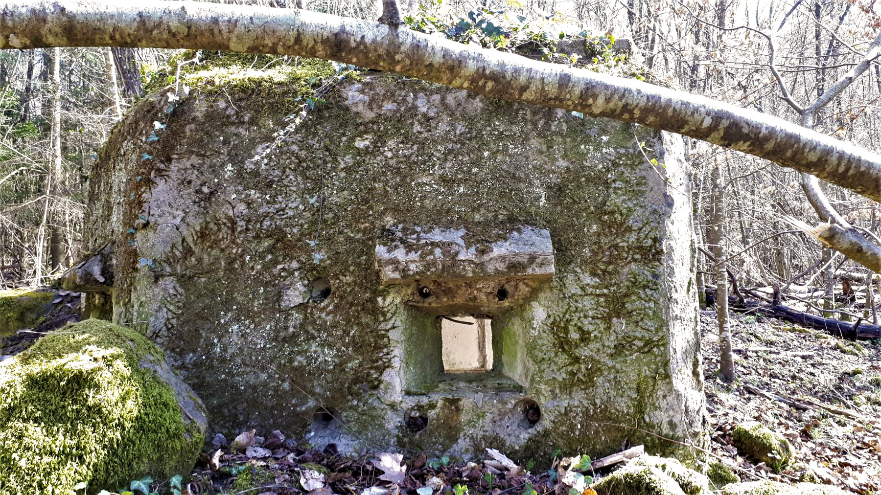 Ligne Maginot - FM10 - HIRTENMATT 2 - (Blockhaus pour arme infanterie) - Créneau latéral gauche - Gregory Fuchs