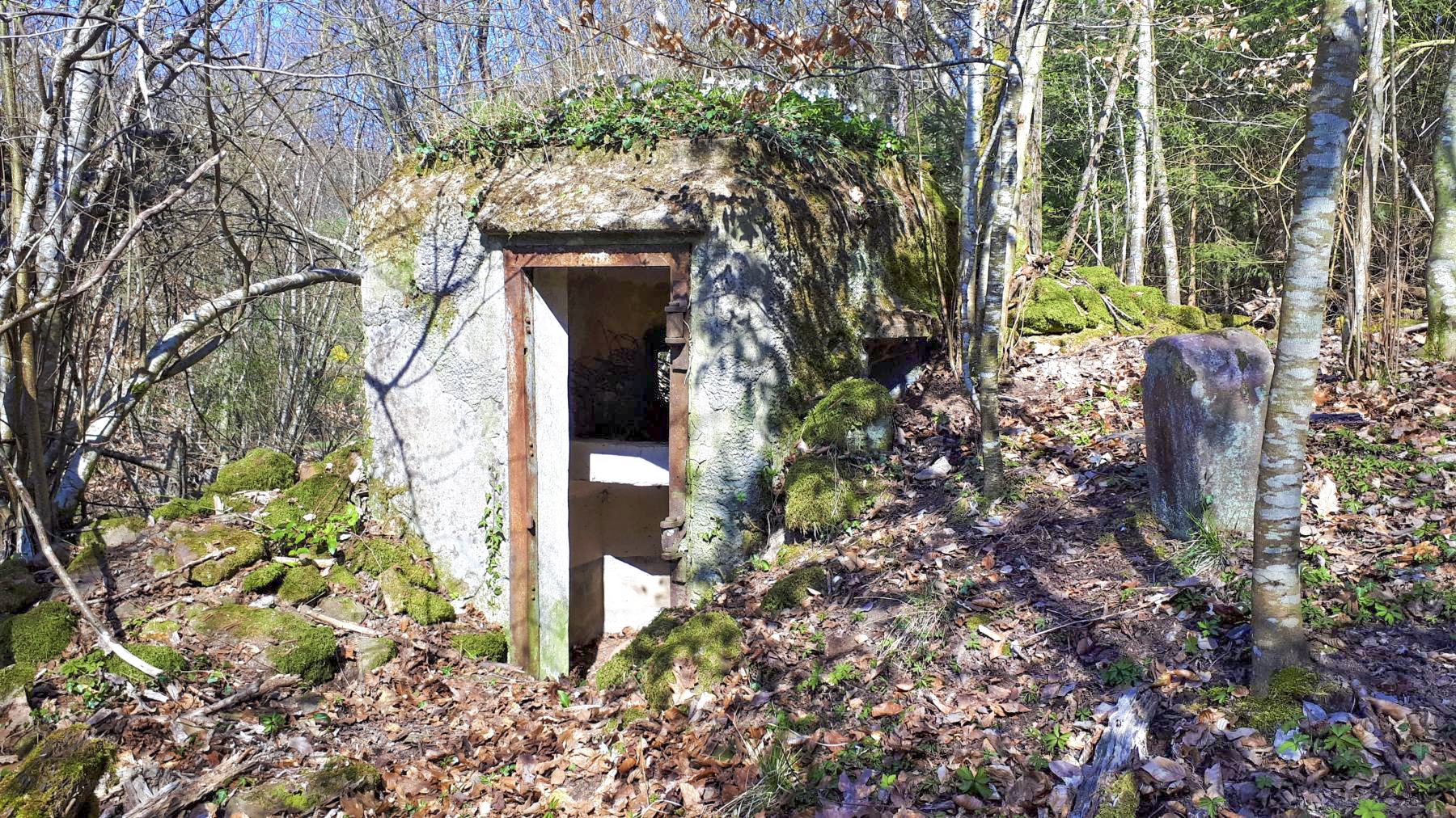 Ligne Maginot - FM10 - HIRTENMATT 2 - (Blockhaus pour arme infanterie) - Entrée - Gregory Fuchs