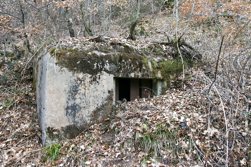 Ligne Maginot - C2 - JAEGERTHAL 1 - (Blockhaus pour canon) -  - GRUBER Franck