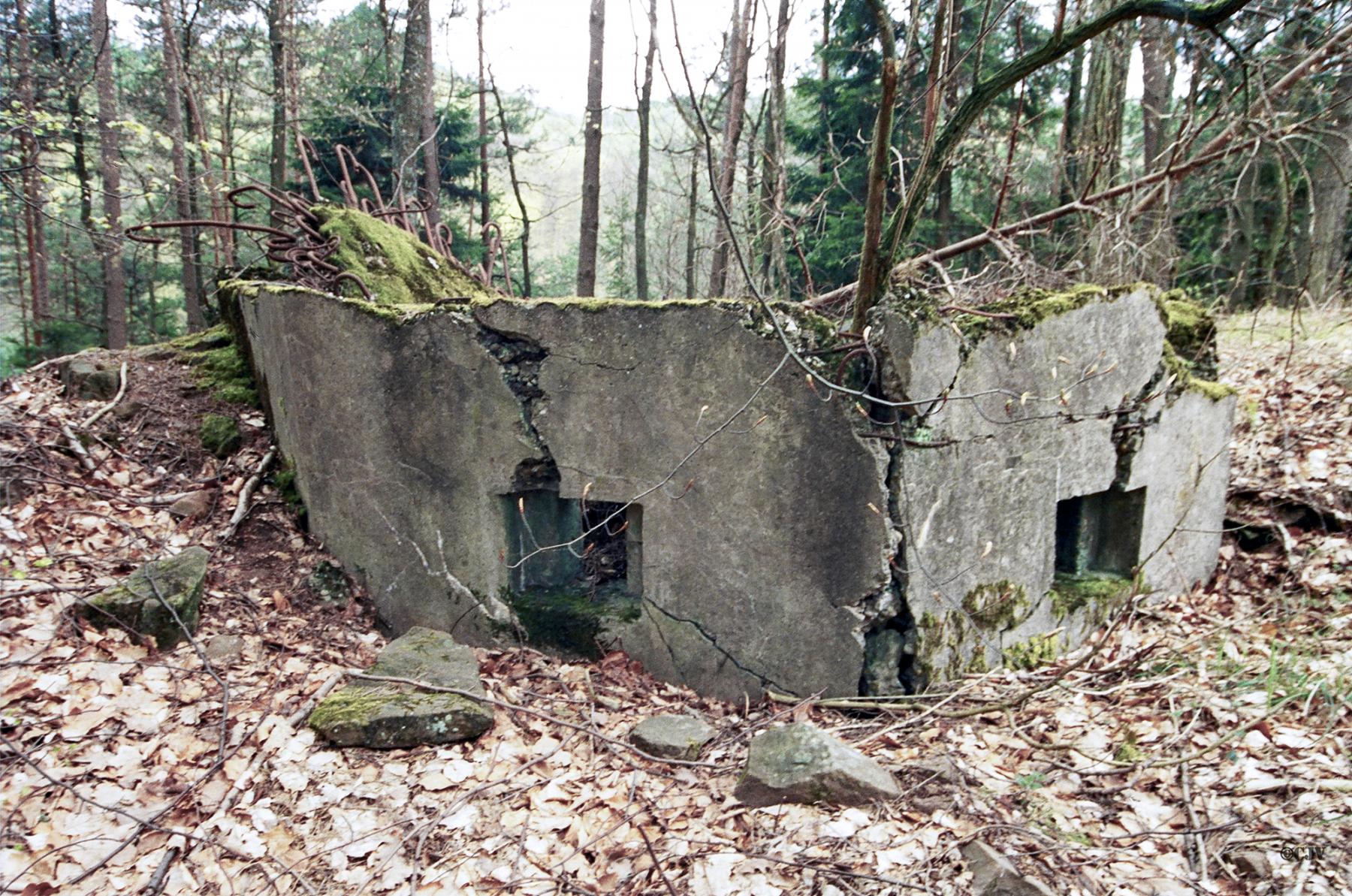 Ligne Maginot - FM92 - JAEGERTHAL 2 - (Blockhaus pour arme infanterie) -  - Lia VERMEULEN