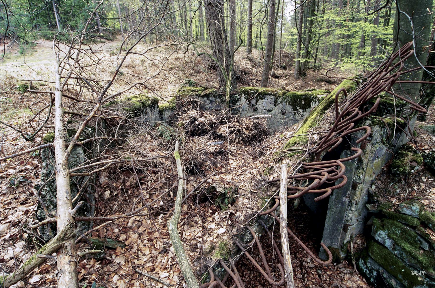 Ligne Maginot - FM92 - JAEGERTHAL 2 - (Blockhaus pour arme infanterie) -  - Lia VERMEULEN