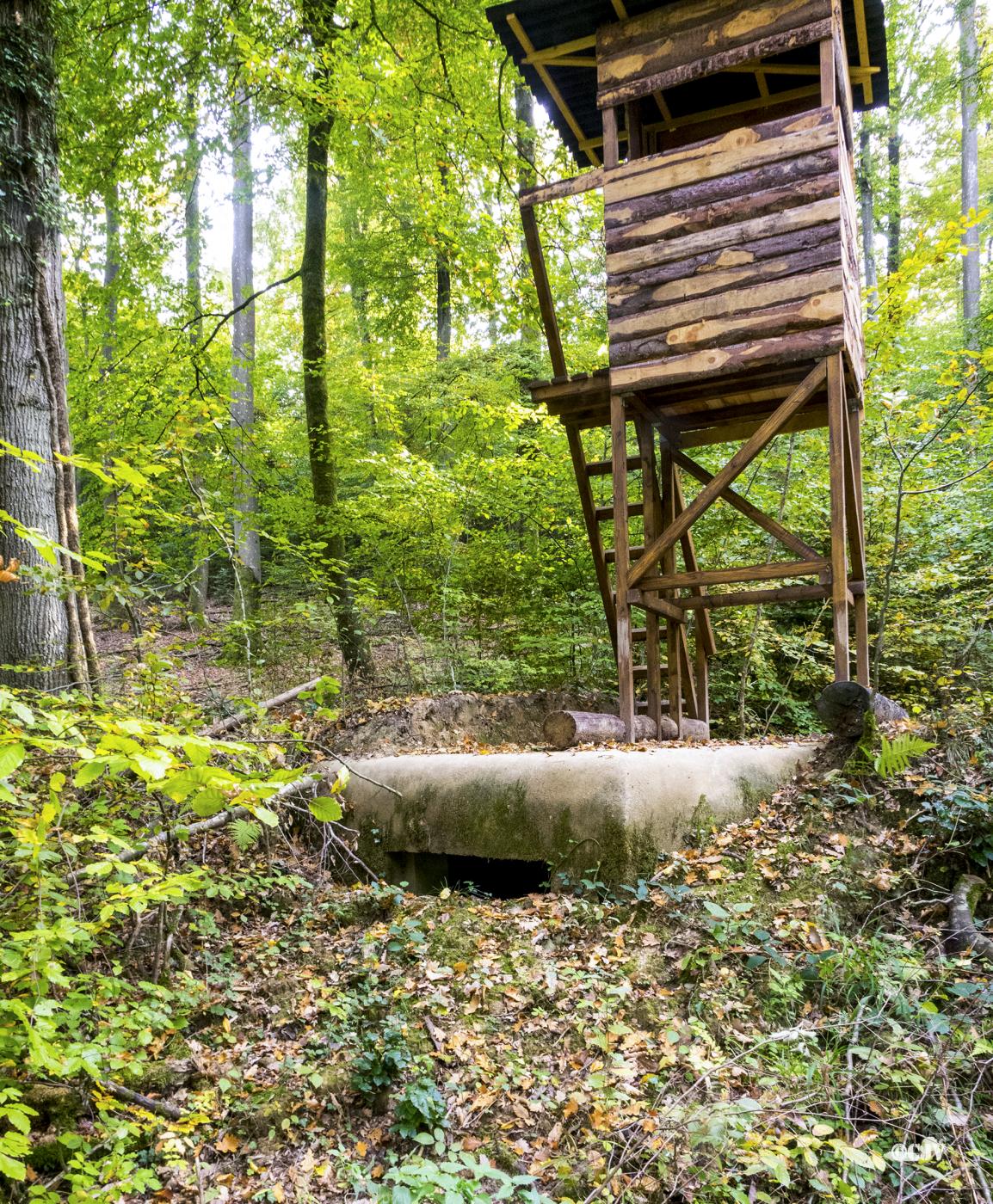 Ligne Maginot - KUHBRUCK OUEST - (Blockhaus pour canon) -  - Lia VERMEULEN