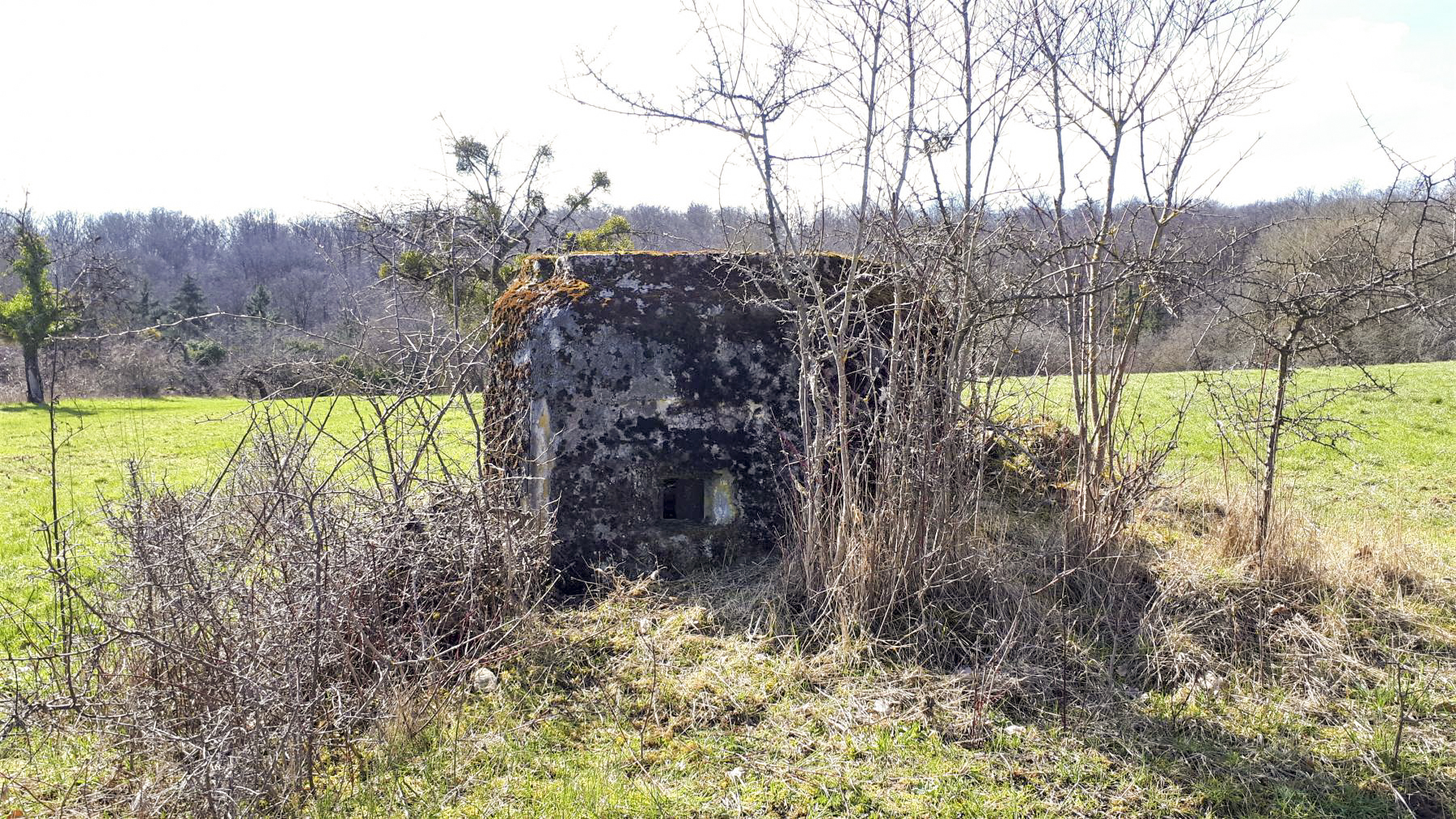 Ligne Maginot - FM16 - KUEHLAEGER - (Blockhaus pour arme infanterie) - Créneau gauche - Gregory Fuchs