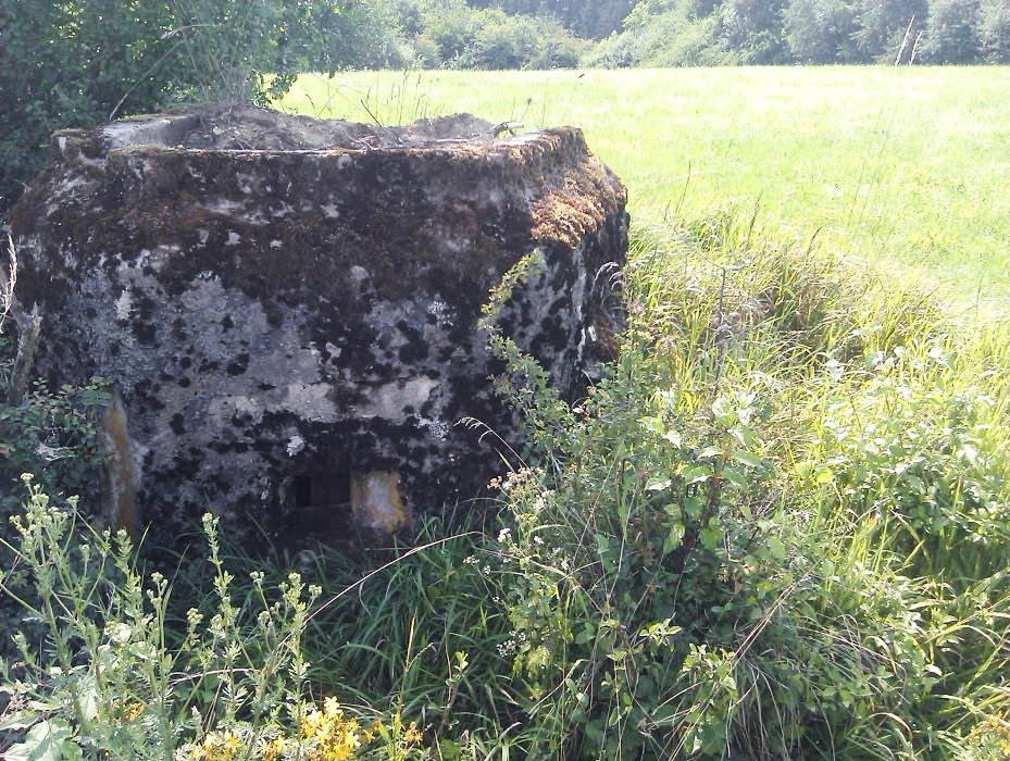 Ligne Maginot - FM16 - KUEHLAEGER - (Blockhaus pour arme infanterie) - Créneau gauche - donceuh