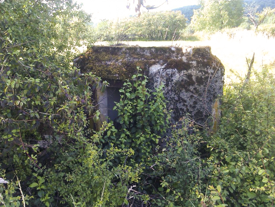 Ligne Maginot - FM16 - KUEHLAEGER - (Blockhaus pour arme infanterie) - Entrée - donceuh