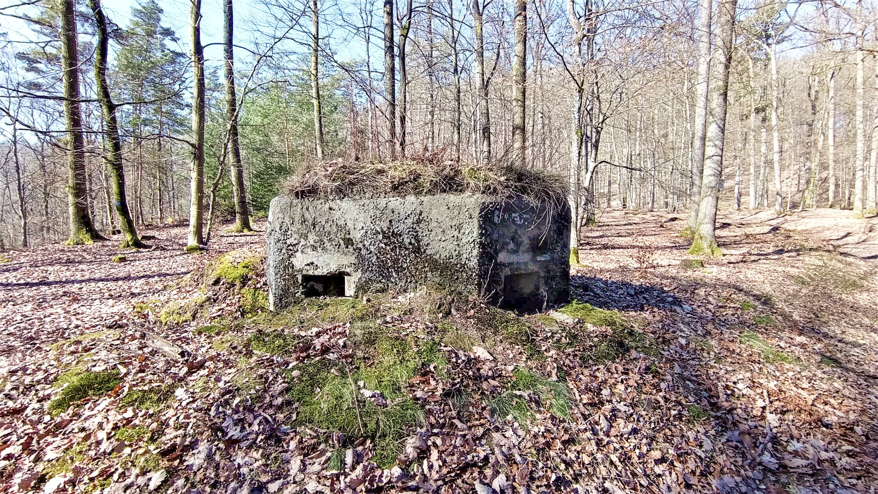 Ligne Maginot - FM38 - DIEBSKOPF 2 - (Blockhaus pour arme infanterie) - Vue coté droit - Baptiste GAUDIN