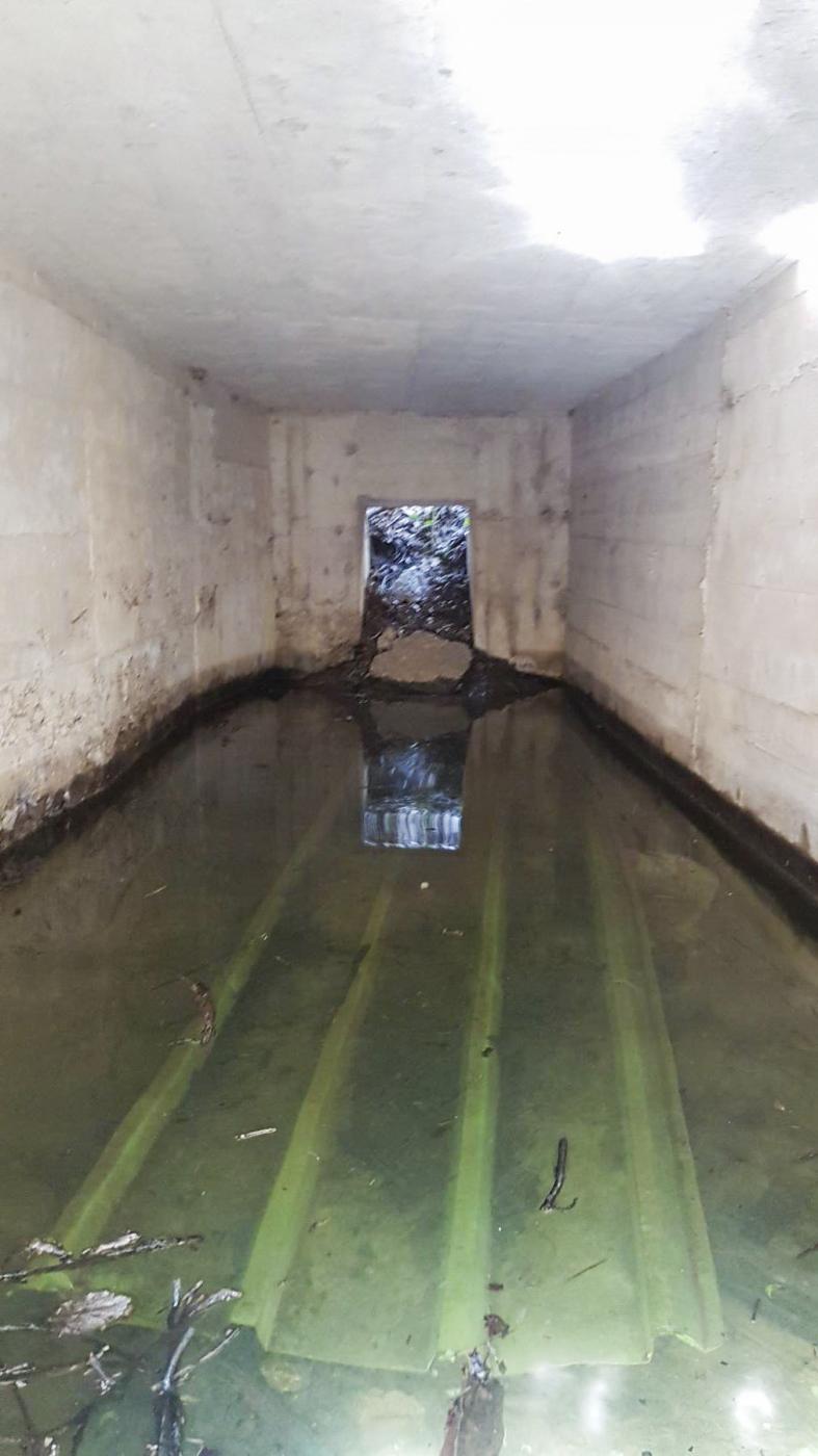 Ligne Maginot - GRILLY EST (4° BIE/II/9° RAD)  - (Abri) - Abri sommaire. - Dirknet