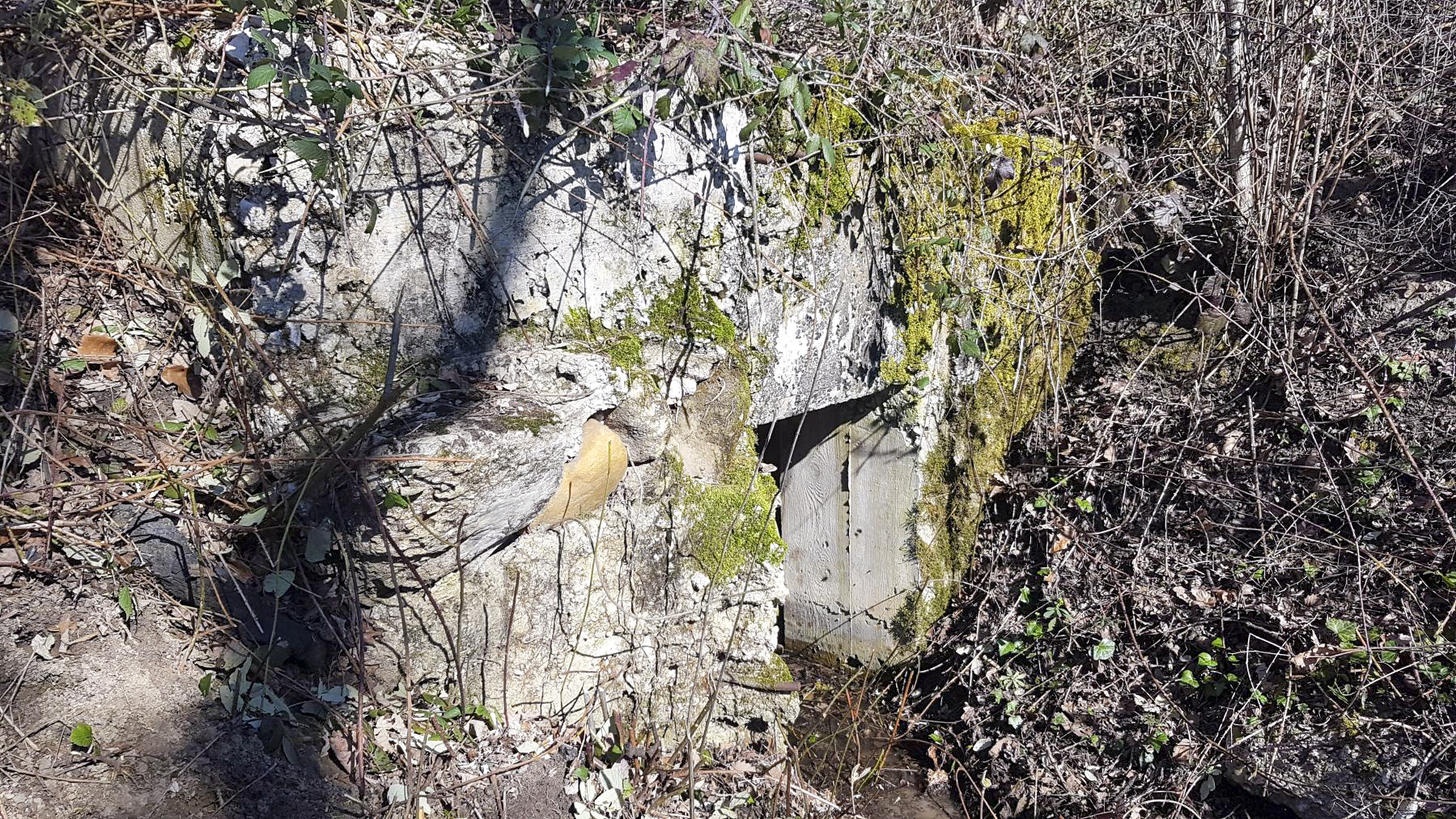 Ligne Maginot - GRILLY EST (4° BIE/II/9° RAD)  - (Abri) - Abri sommaire. - Dirknet