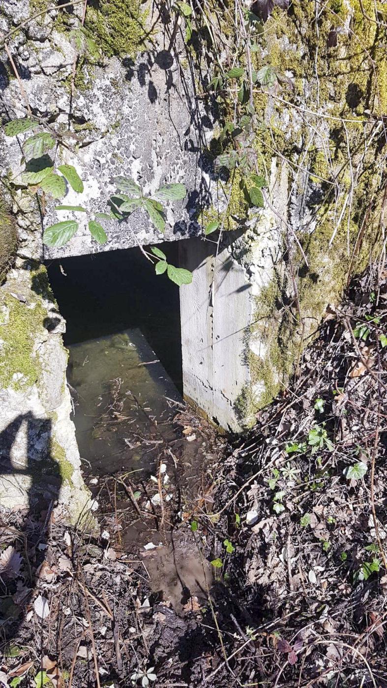 Ligne Maginot - GRILLY EST (4° BIE/II/9° RAD)  - (Abri) - Abri sommaire. - Dirknet